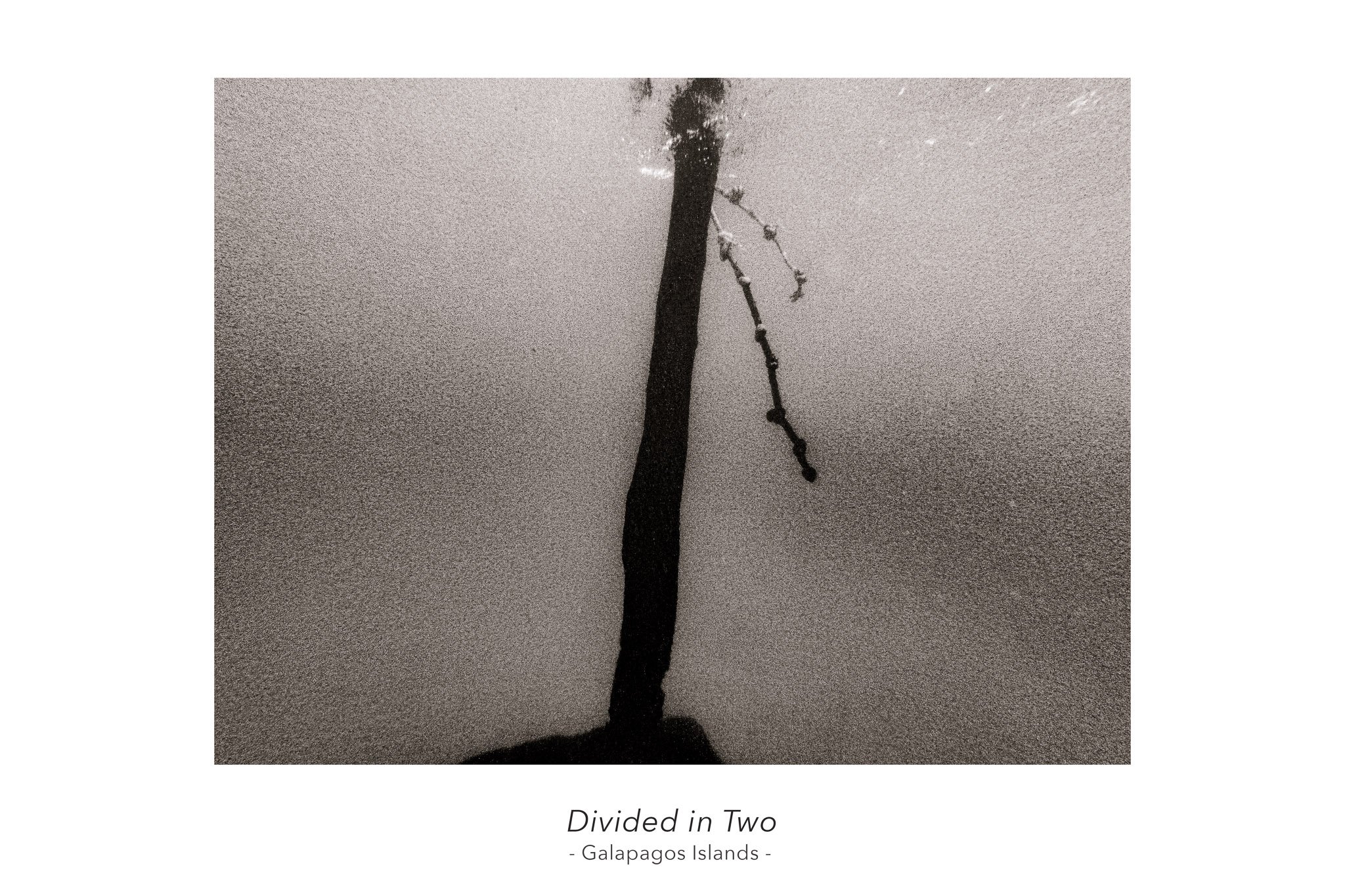 Divided in Two