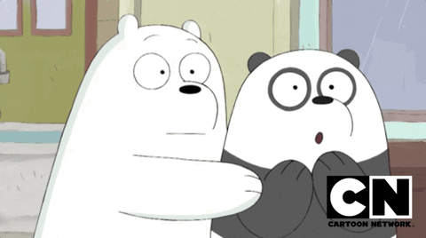 giphy (3).gif