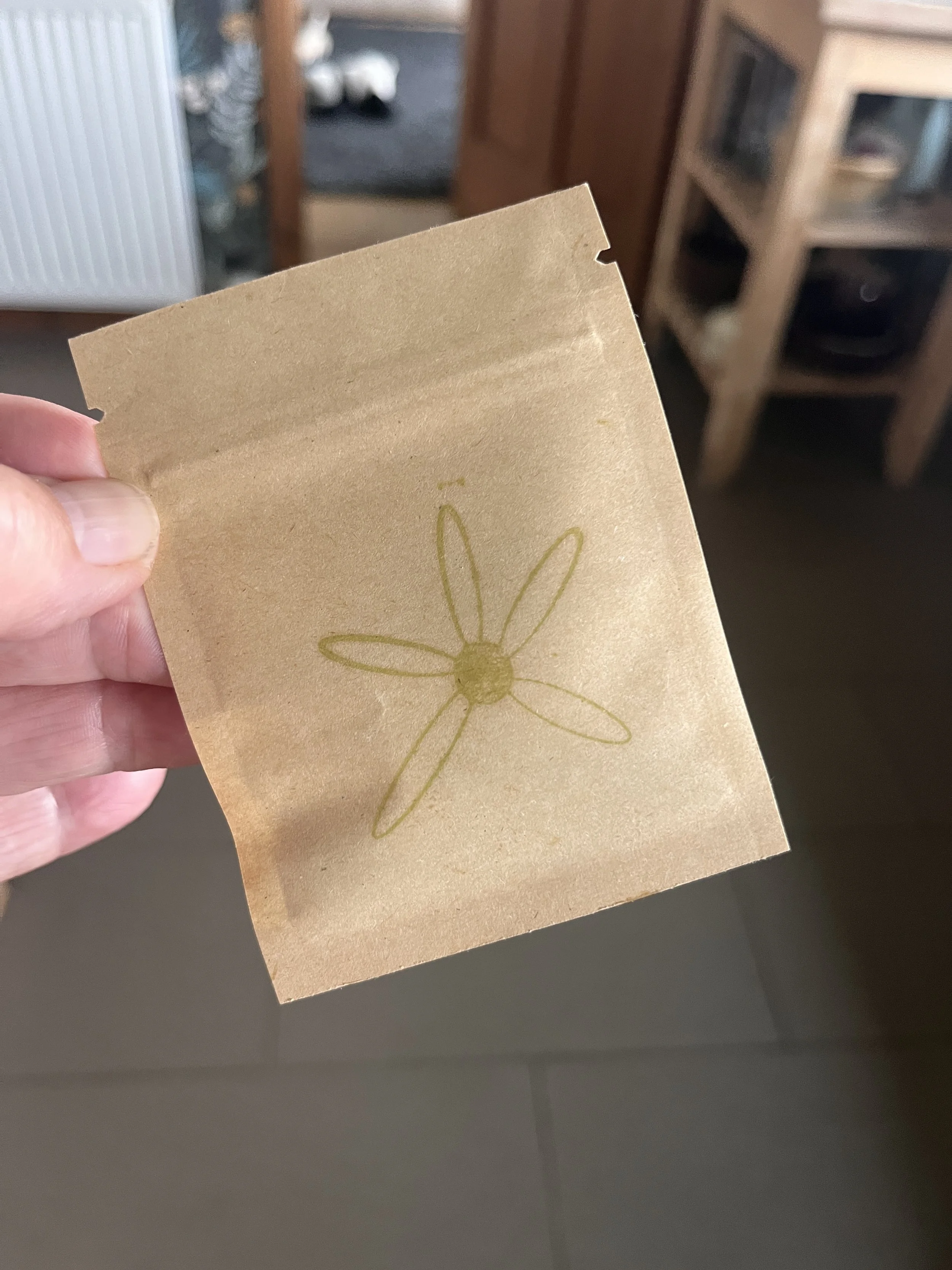 Wild Flower Seeds