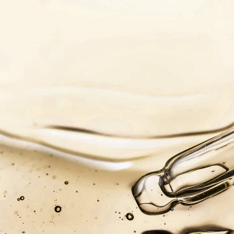 AdobeStock_596611158_13946729-f422-4832-928f-c741ddd8bea1.webp