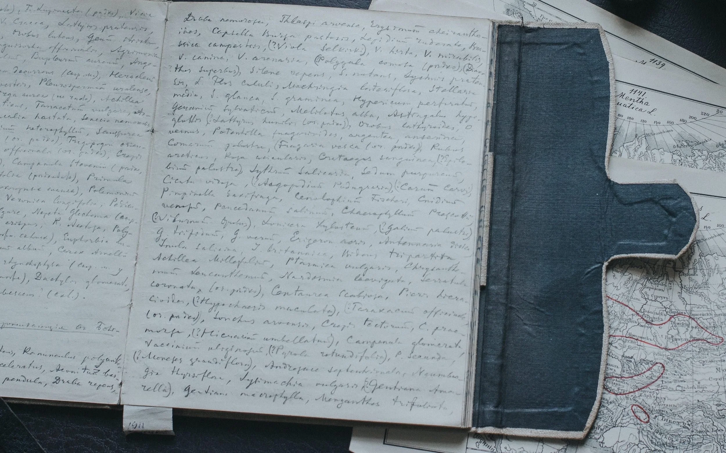 How to Get a Starting Grant