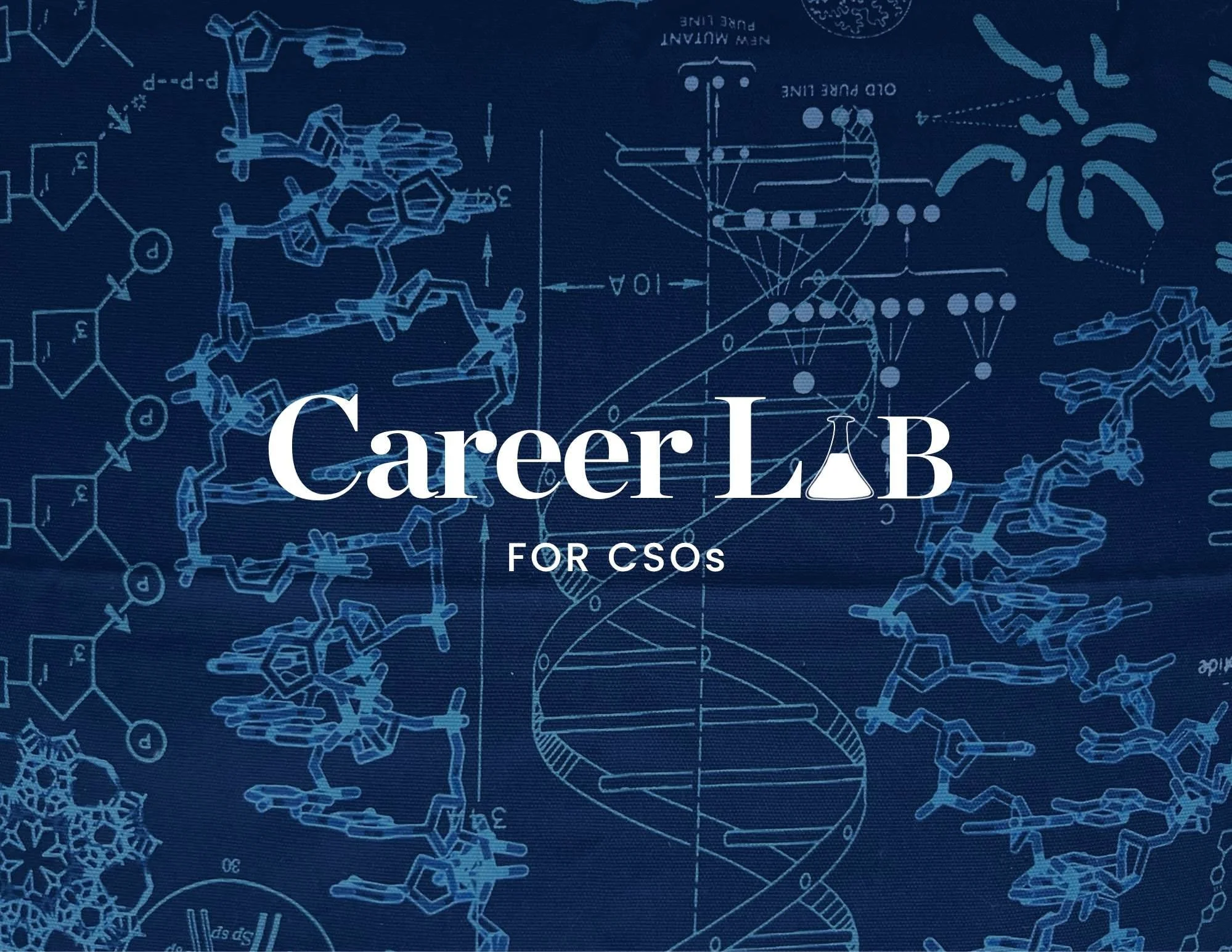 Career Lab for CSOs