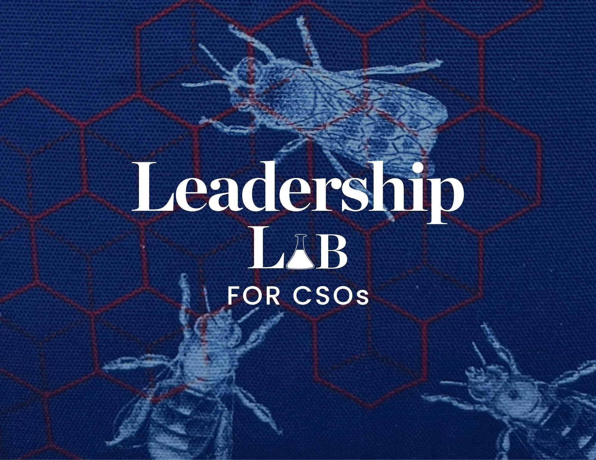 Leadership Lab for CSOs