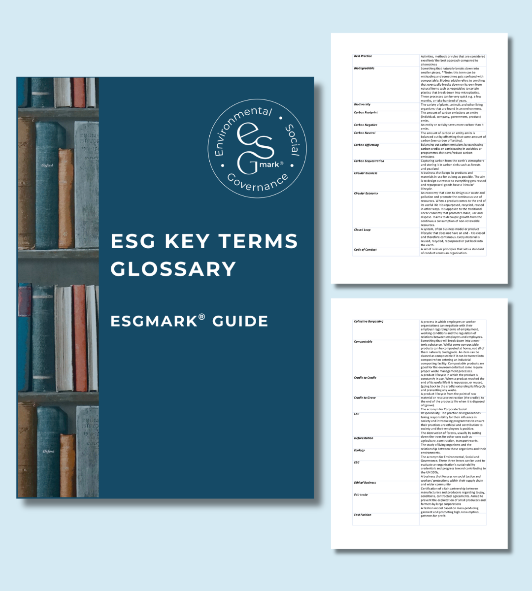 ESG Key Terms Glossary