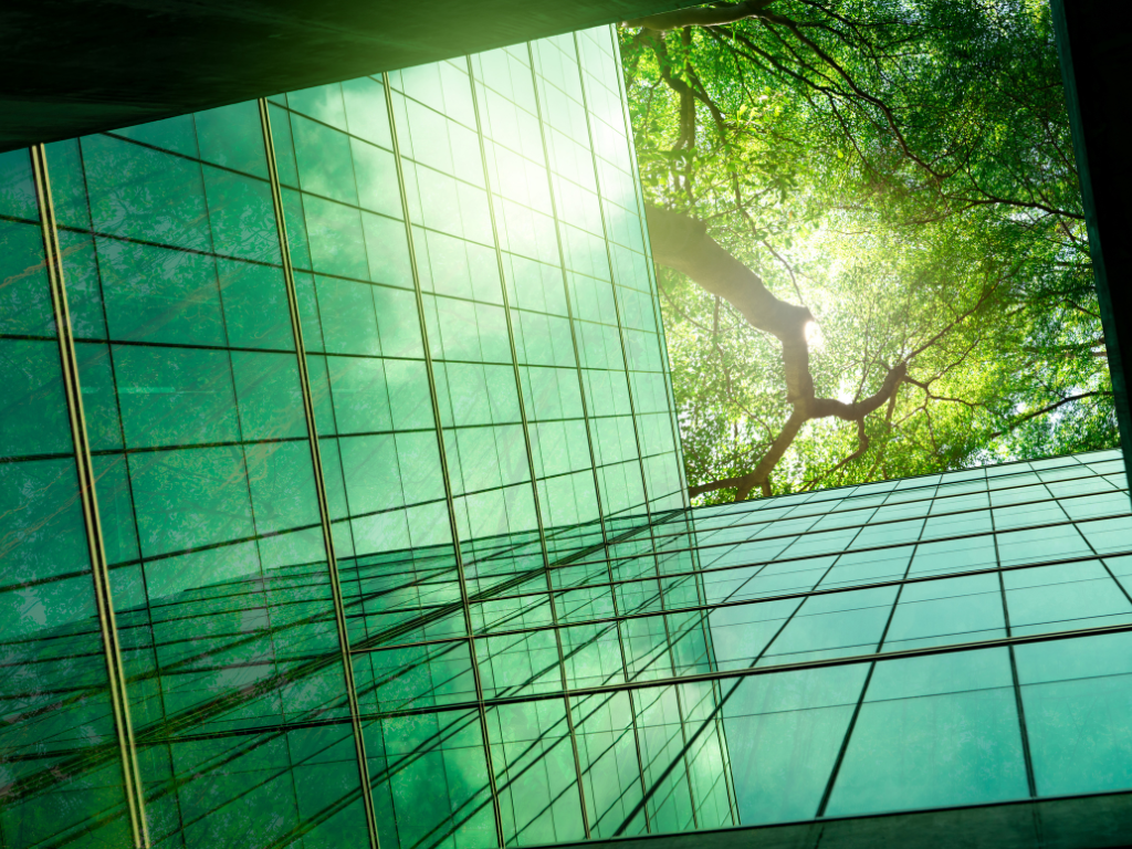 Corporate offices and trees