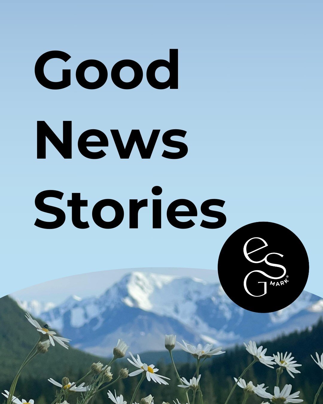 There's blossoms on the trees, but that's not the only good news!⁠
⁠
Here are some recent positive news stories from the world of climate action 🌍️⁠
⁠
⁠
⁠
#goodnews #climateaction #goodclimatenews #climatetech #sustainablefashion #treeplanting #cora