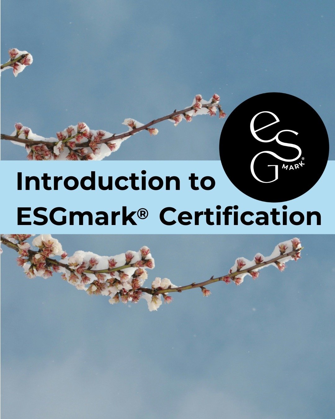 ESGmark&reg; is the community for people and organisations who care about the planet and society 🌍️⁠
⁠
Consumers are demanding change, and embedding responsible business practices is a competitive advantage. ⁠
⁠
ESGmark&reg; certification allows org