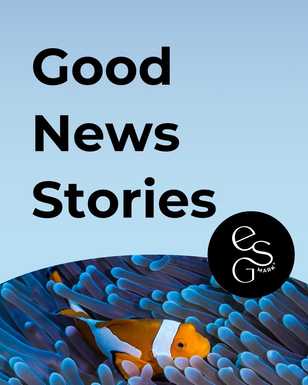 Here's some good news to see you into the weekend! ⁠
⁠
These are some recent updates from the world of environmental action, including new research and actions to protect biodiversity and reduce our environmental impact 🦋⁠
⁠
⁠
⁠
#goodnews #climateac