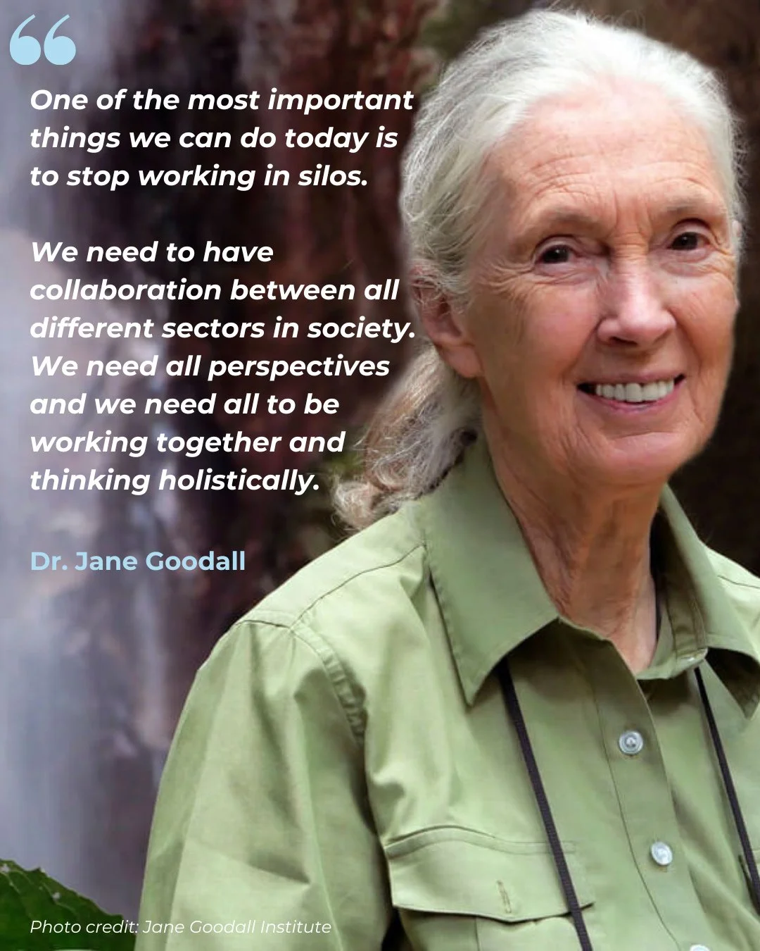 Thank you, Jane, for inspiring so many of us with your dedication to the natural world.⁠
⁠
Jane was a scientist, nature and human rights advocate, UN Messenger of Peace, and an incredible force for good. She believed in action over apathy and in work