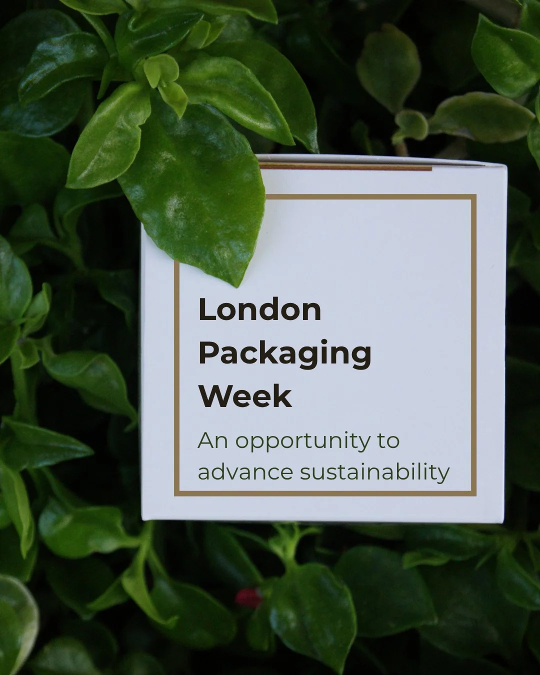 London Packaging Week (15-16 October) is an opportunity for businesses to come together with packaging suppliers, designers, and developers to inspire each other and drive future innovation. ⁠
⁠
With leaders in packaging design coming together from a