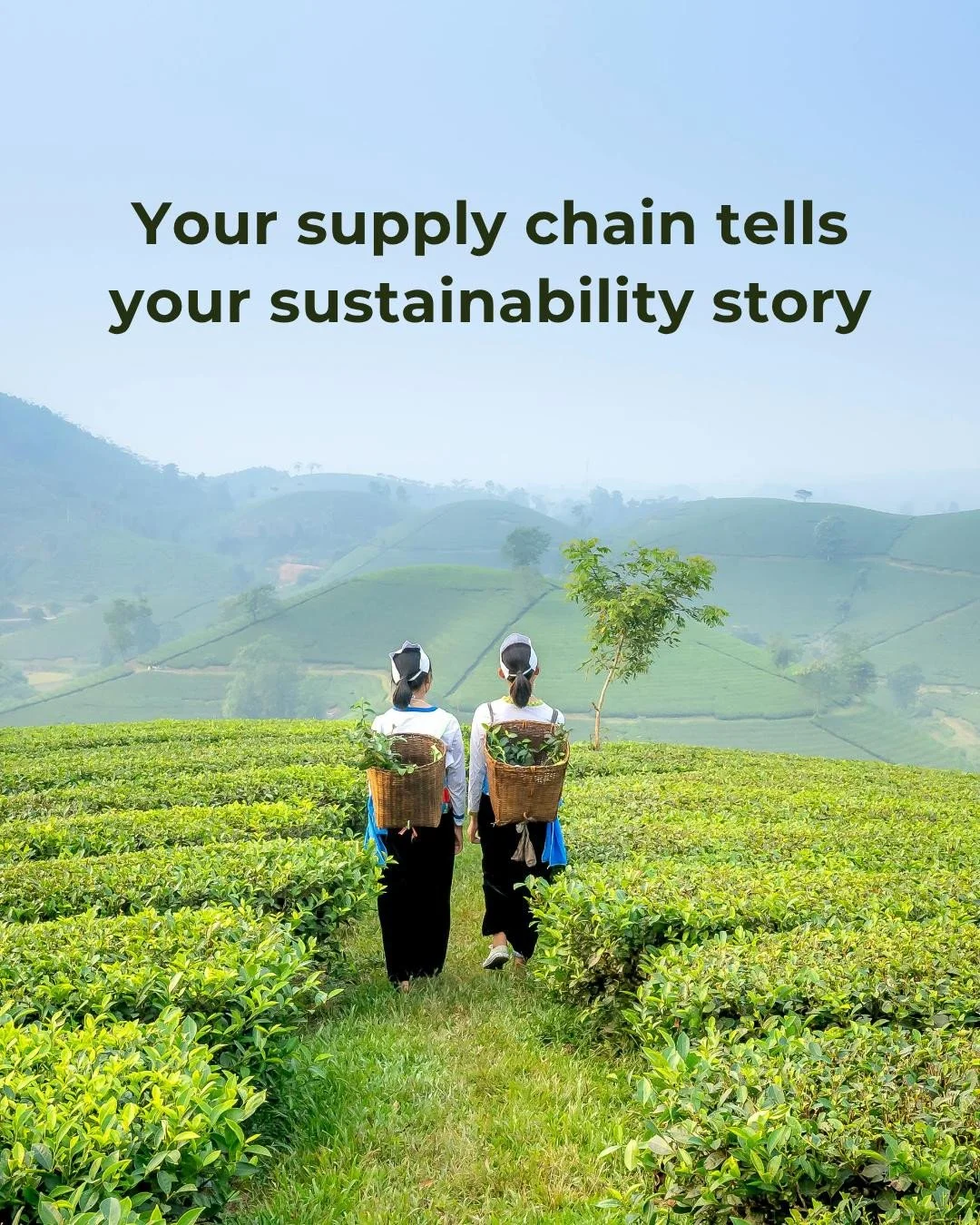 Ethical and sustainable supply chains are a crucial part of responsible business.⁠
⁠
In our latest ESGmark&reg; blog, we share:⁠
✔️ Why responsible supply chains are key to ESG success⁠
✔️ Real-world examples from ESGmark&reg; members⁠
✔️ Steps to st