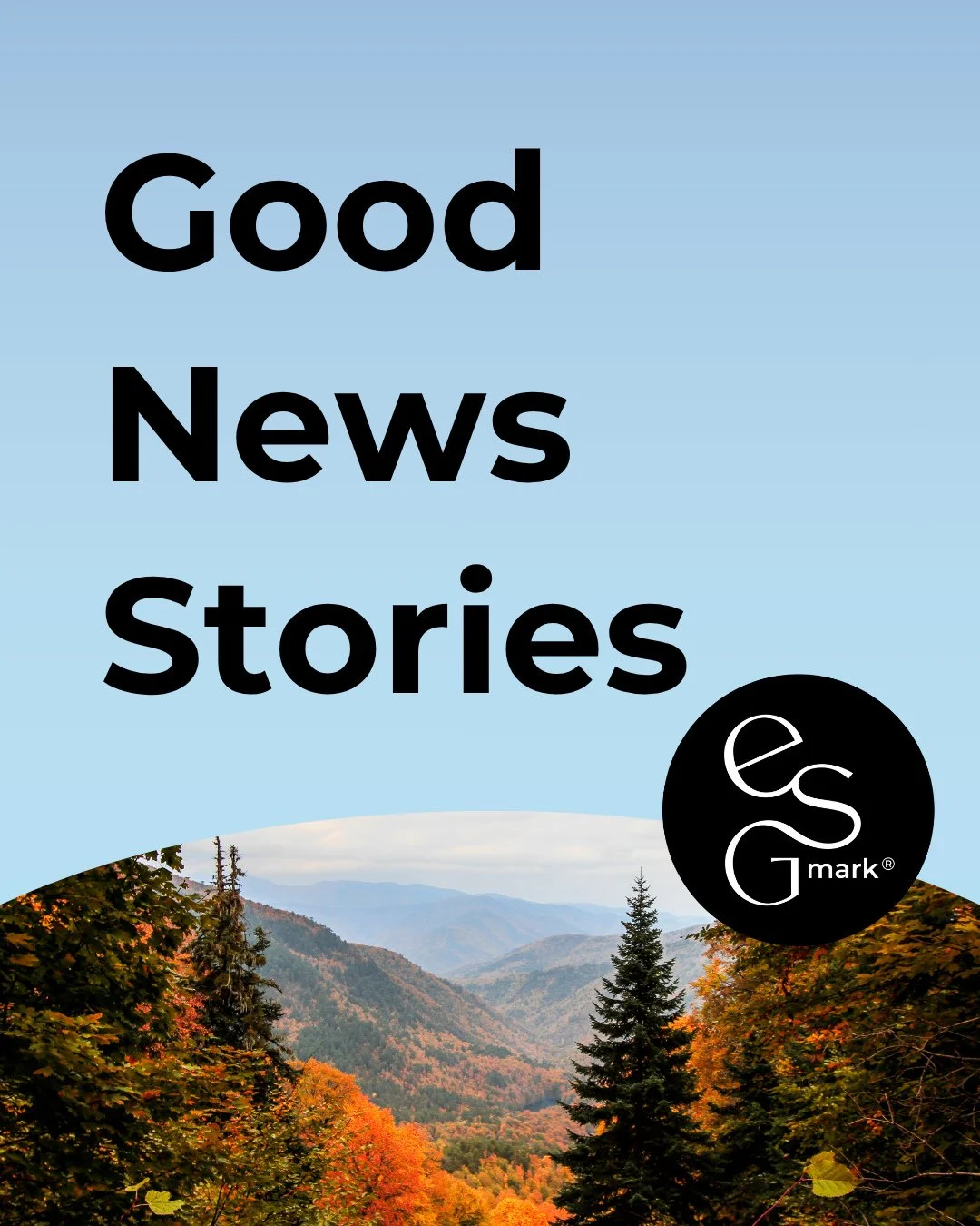 Here's our latest roundup of positive climate action news 🌍️⁠
⁠
From businesses seeing returns on decarbonisation to biodiversity initiatives boosting climate resilience, these good news stories are a great way to head into the weekend.⁠
⁠
⁠
⁠
#posi
