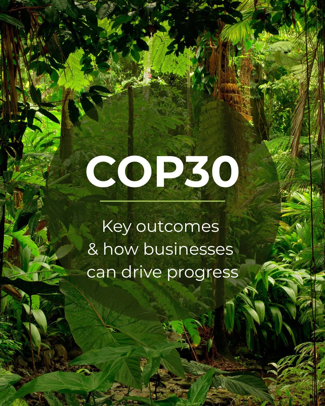 COP30 has come to a close in Bel&eacute;m, bringing progress on the Global Goal on Adaptation and steps forward on climate finance, but leaving major gaps on urgent climate action and fossil fuel commitments.⁠
⁠
Head to our latest blog for our full b