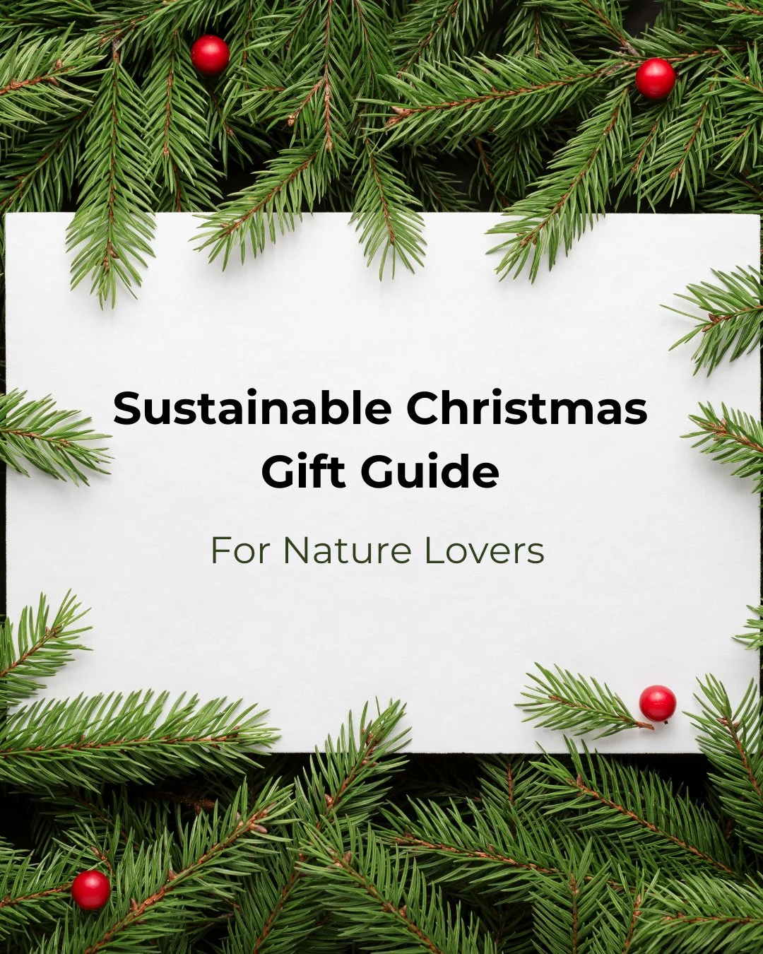 Gifts for nature lovers, made with the planet in mind 🌍⁠
⁠
Want to gift something meaningful this Christmas? You could help restore and rewild the UK by gifting a tree through Creating Tomorrow&rsquo;s Forests or share an experience and make somethi