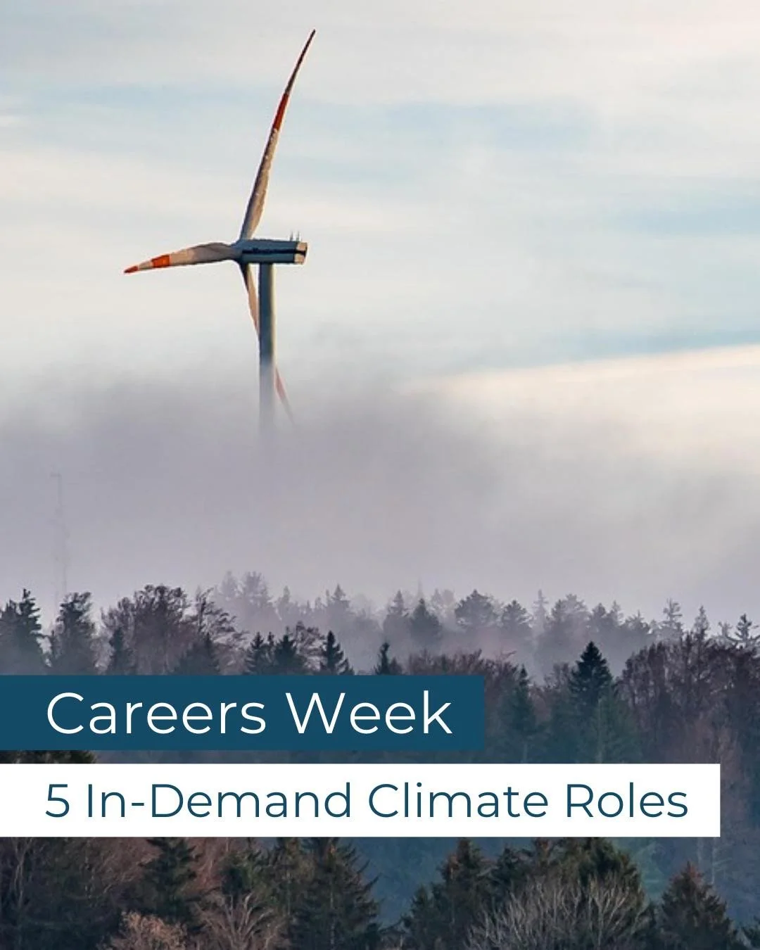 Looking for a career that makes an impact? 🌱⁠
⁠
Climate roles are growing rapidly as organisations invest in sustainability and net zero goals. We&rsquo;ve rounded up 5 in-demand climate careers that are shaping the future of work.⁠
⁠
Explore the op