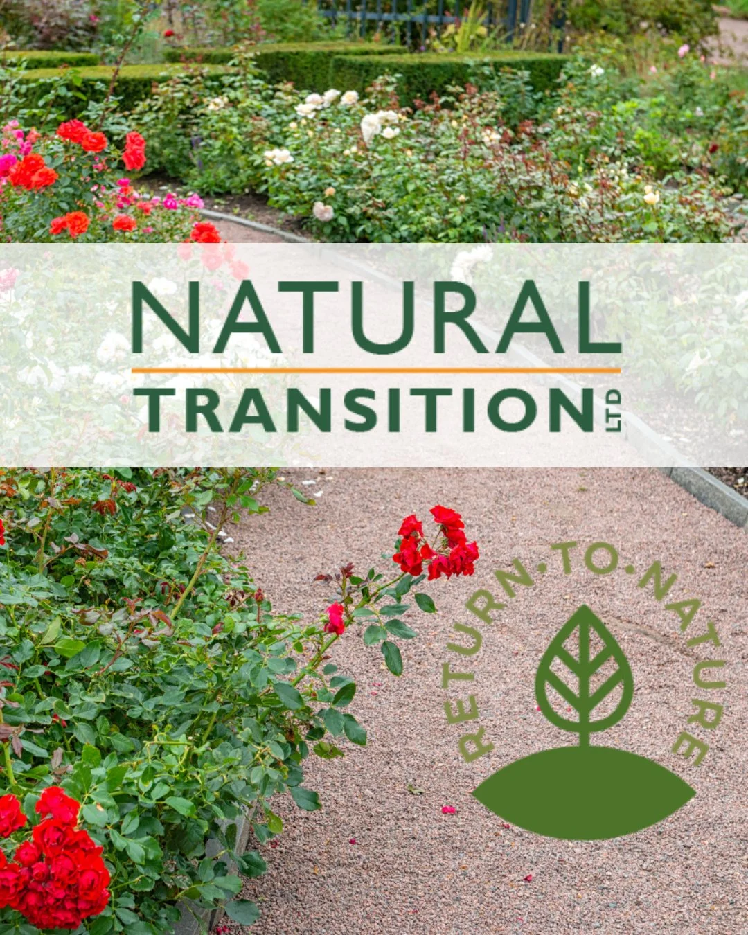 We are delighted to announce that Natural Transition has successfully achieved ESGmark&reg; re-certification! ⁠
⁠
Natural Transition provides a sustainable, scientifically proven soil blend for cremated remains, making a safe return to nature possibl