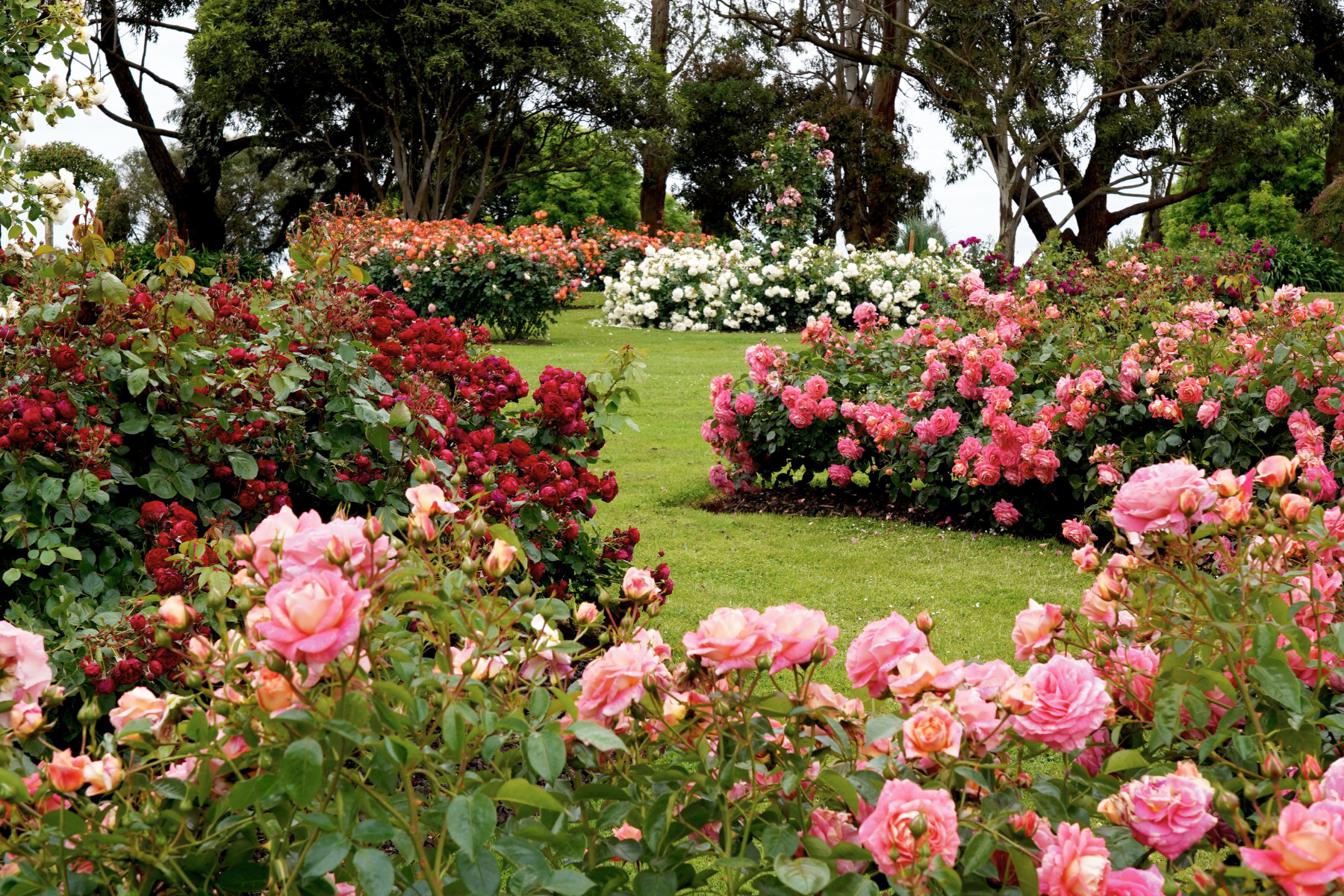 Natural Burials: Sustainable Memorials and Soil Health 