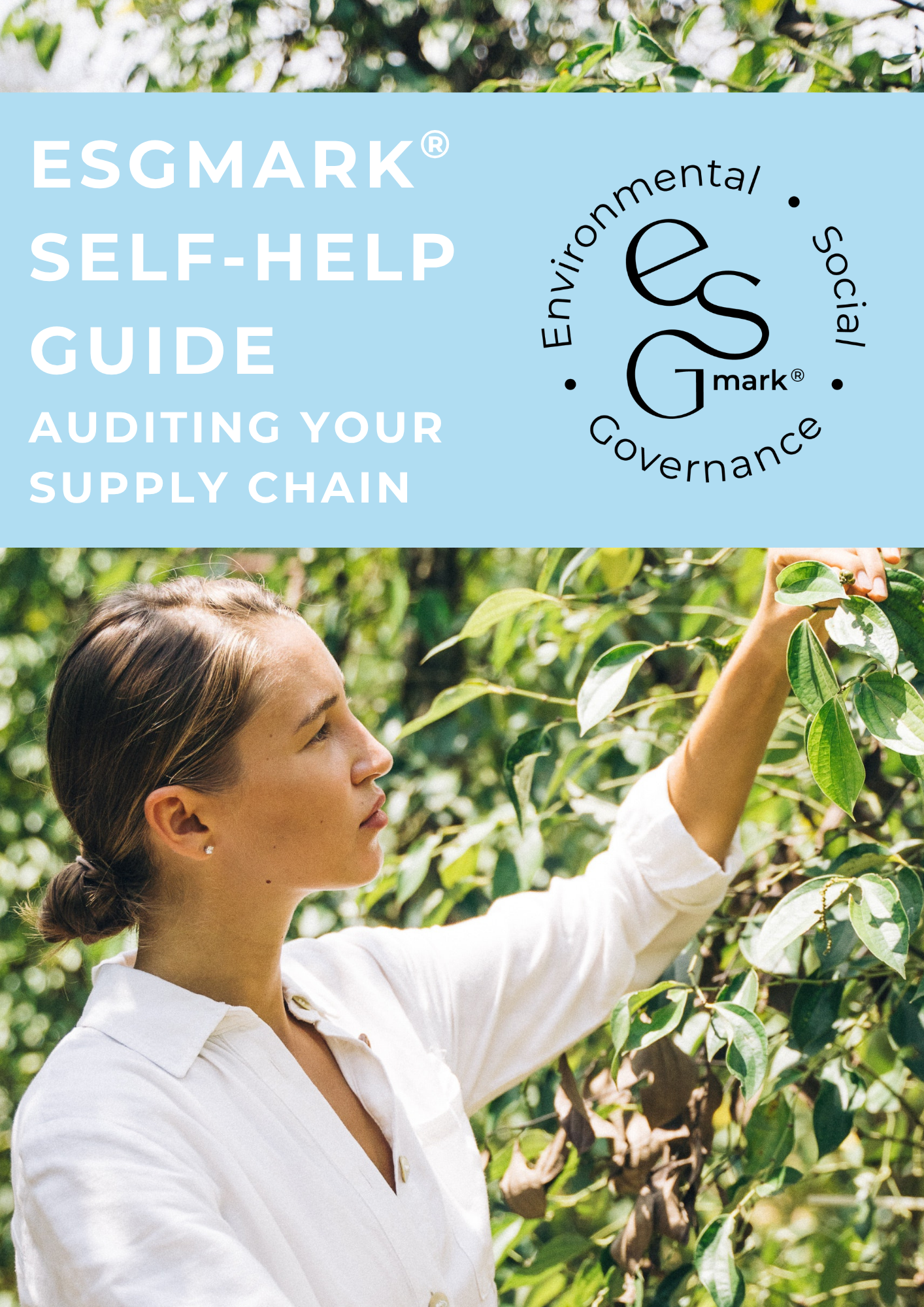 Auditing Your Supply Chain: ESGmark® Guide