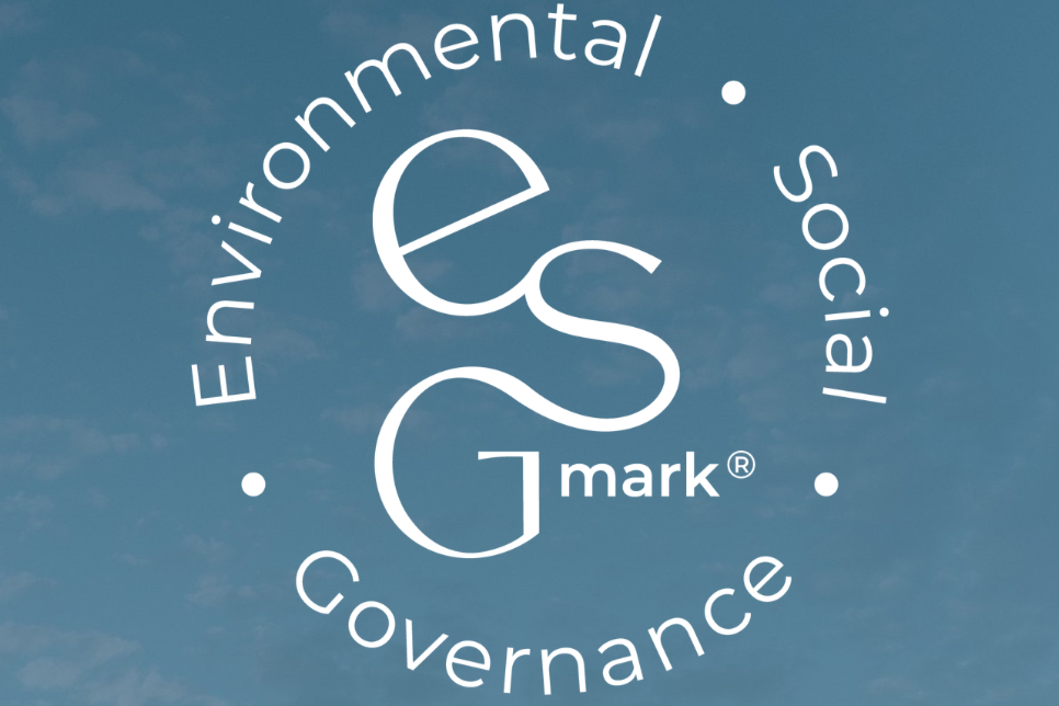 ESGmark®: Cost-Efficient B Corp Alternative for SMEs