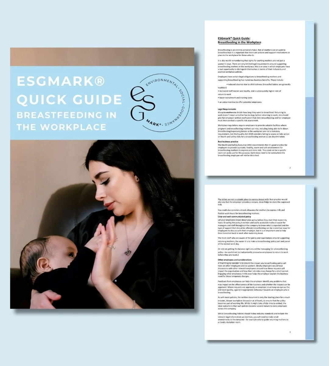 Breastfeeding in the Workplace Policy: ESGmark® Guide
