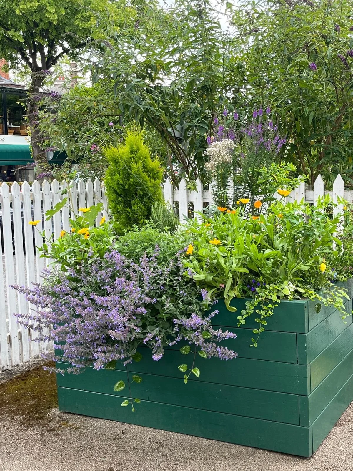 Alexander Knight's flower bed at Hale Rail Station