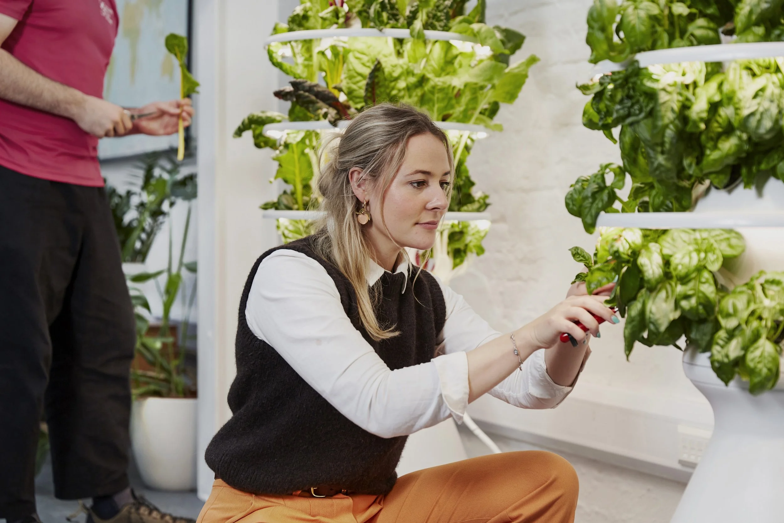 Person tending to plants in Square Mile Farms vertical farming system