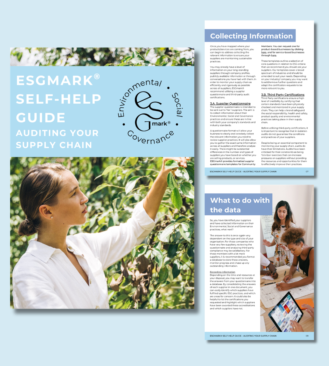 Auditing Your Supply Chain: ESGmark® Guide