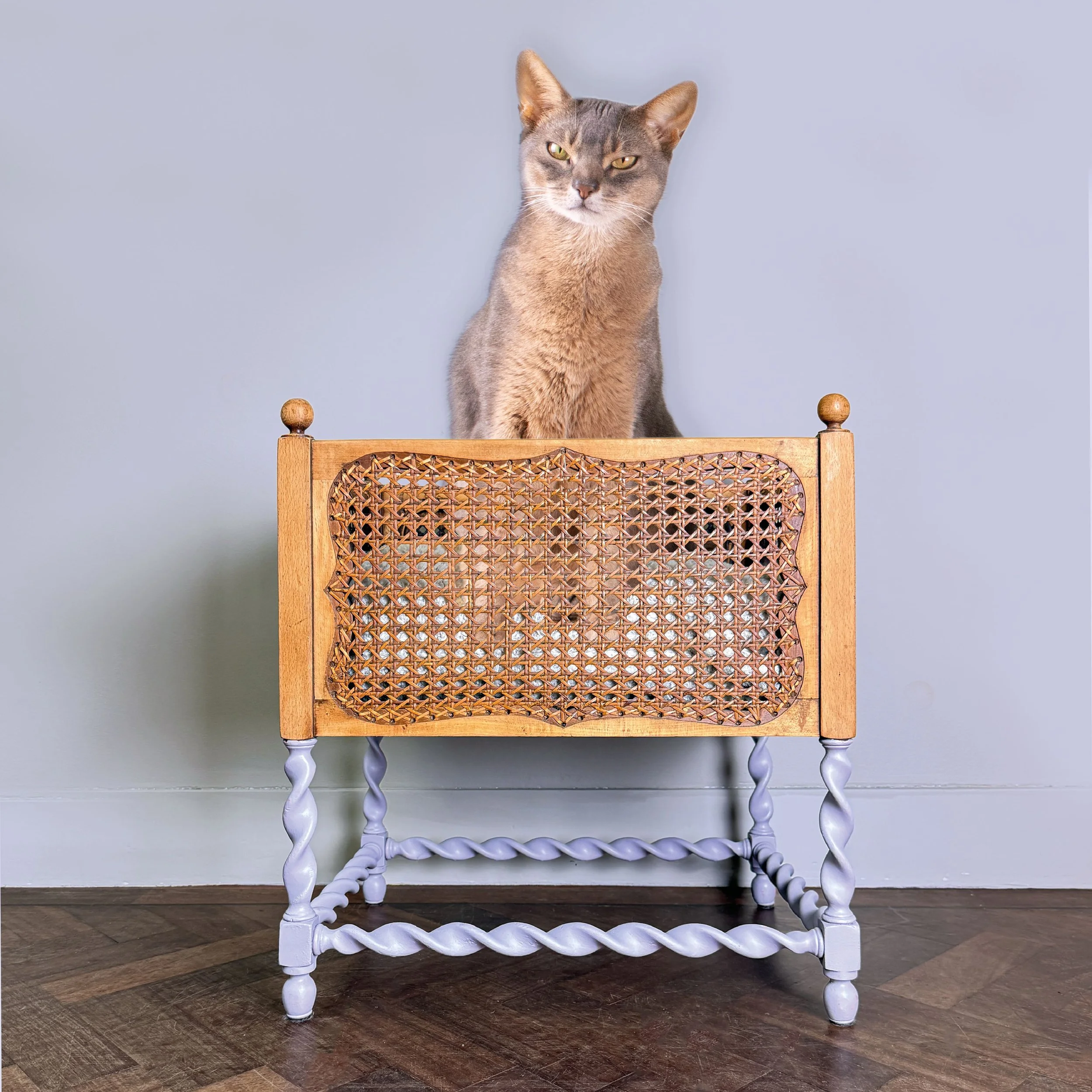 Kattenmand lila_1.jpg