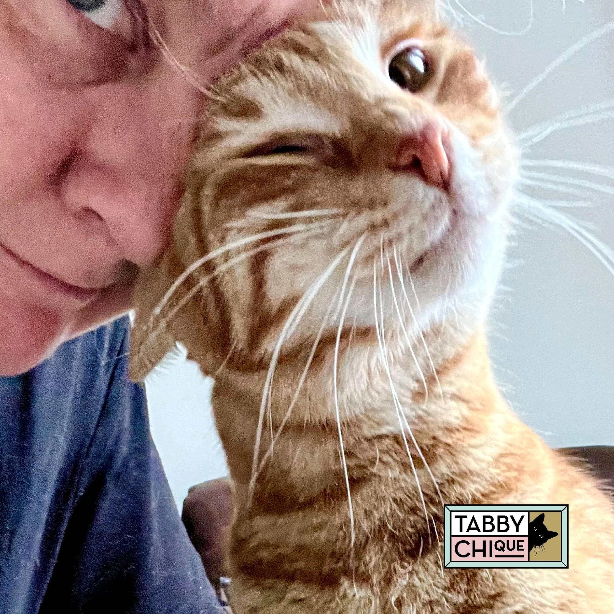 Kattenoppas_28.jpg