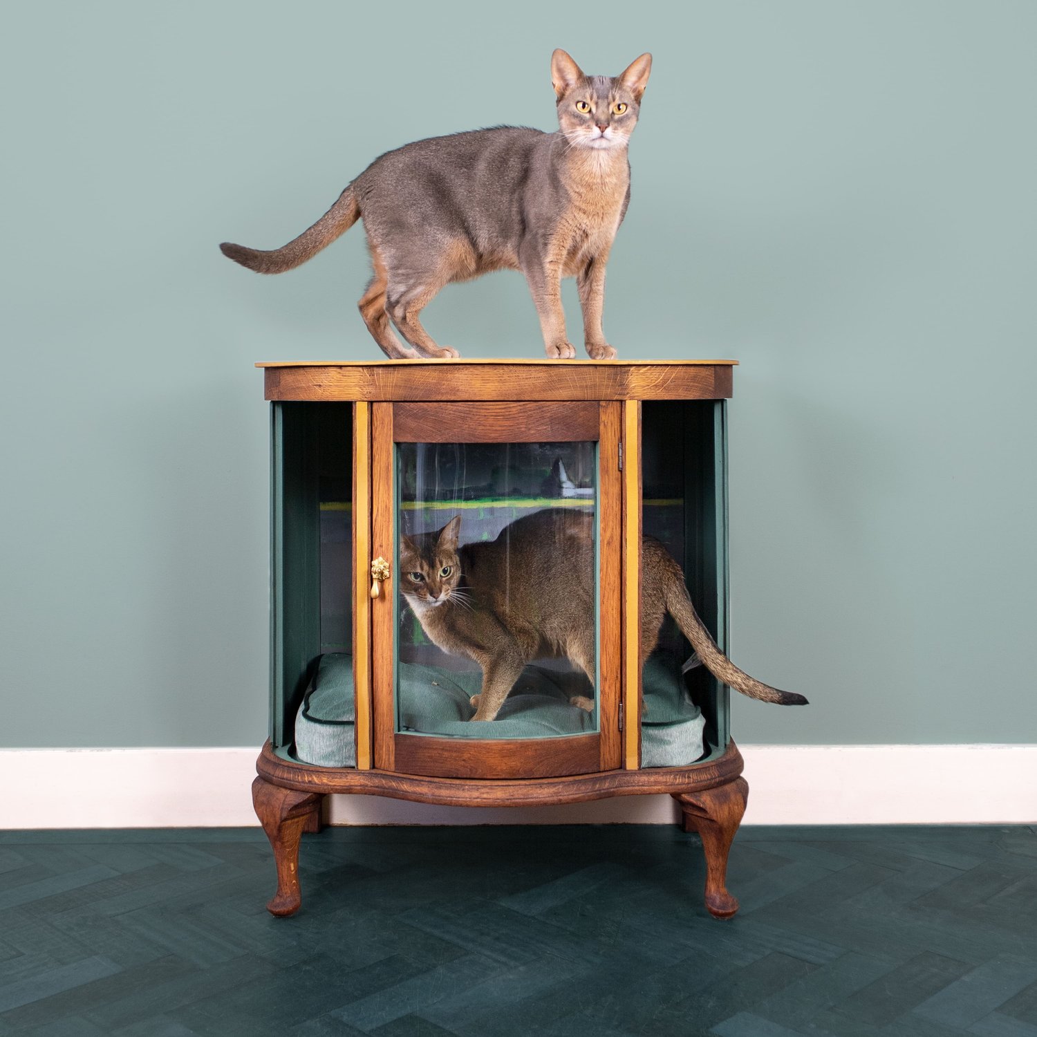 Latijns hoogte Rendezvous Tabby Chique | vintage (katten)meubels