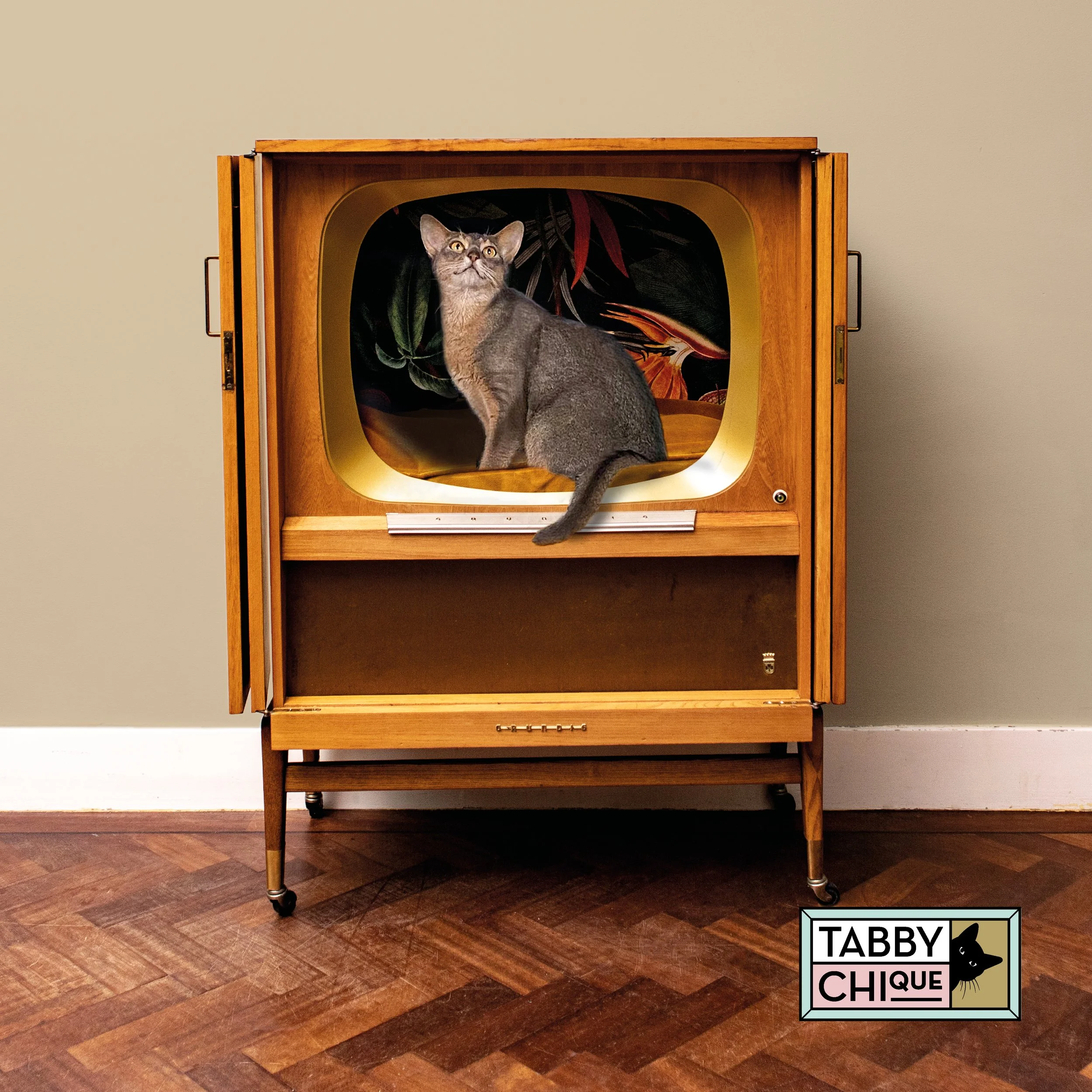 VINTAGE TV KATTENMEUBEL