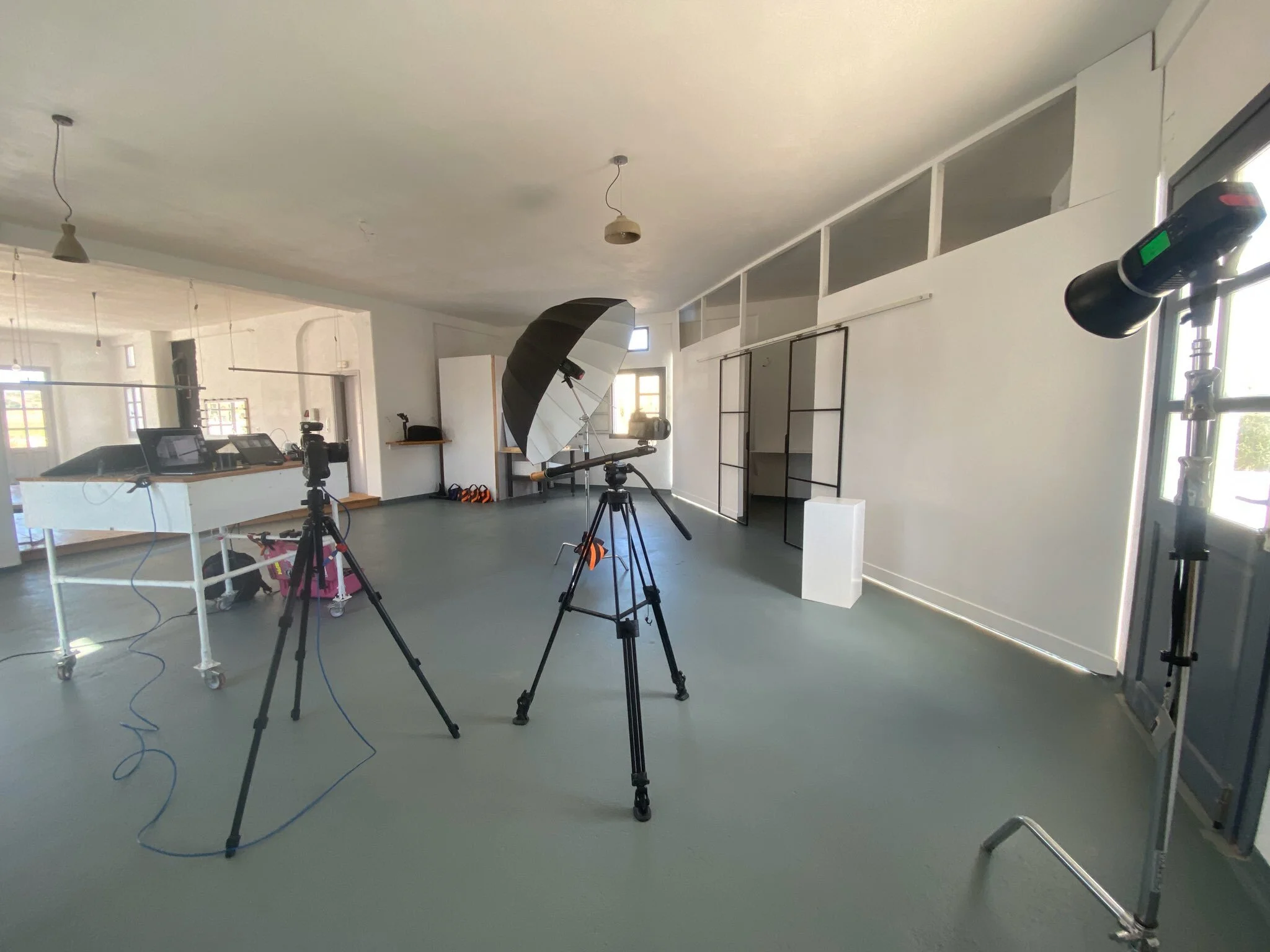 Grey, White + Natural Light