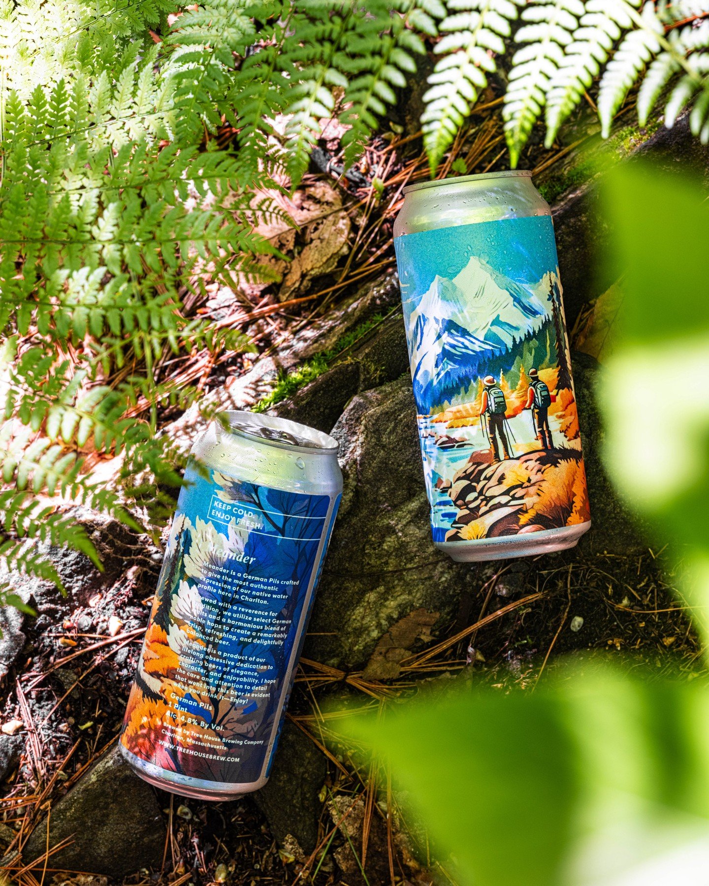 Meander is a German Pils crafted to give the most authentic expression of our native water profile here in Charlton.

Brewed with a reverence for tradition, we utilize select German malts and a harmonious blend of noble hops to create a remarkably cr