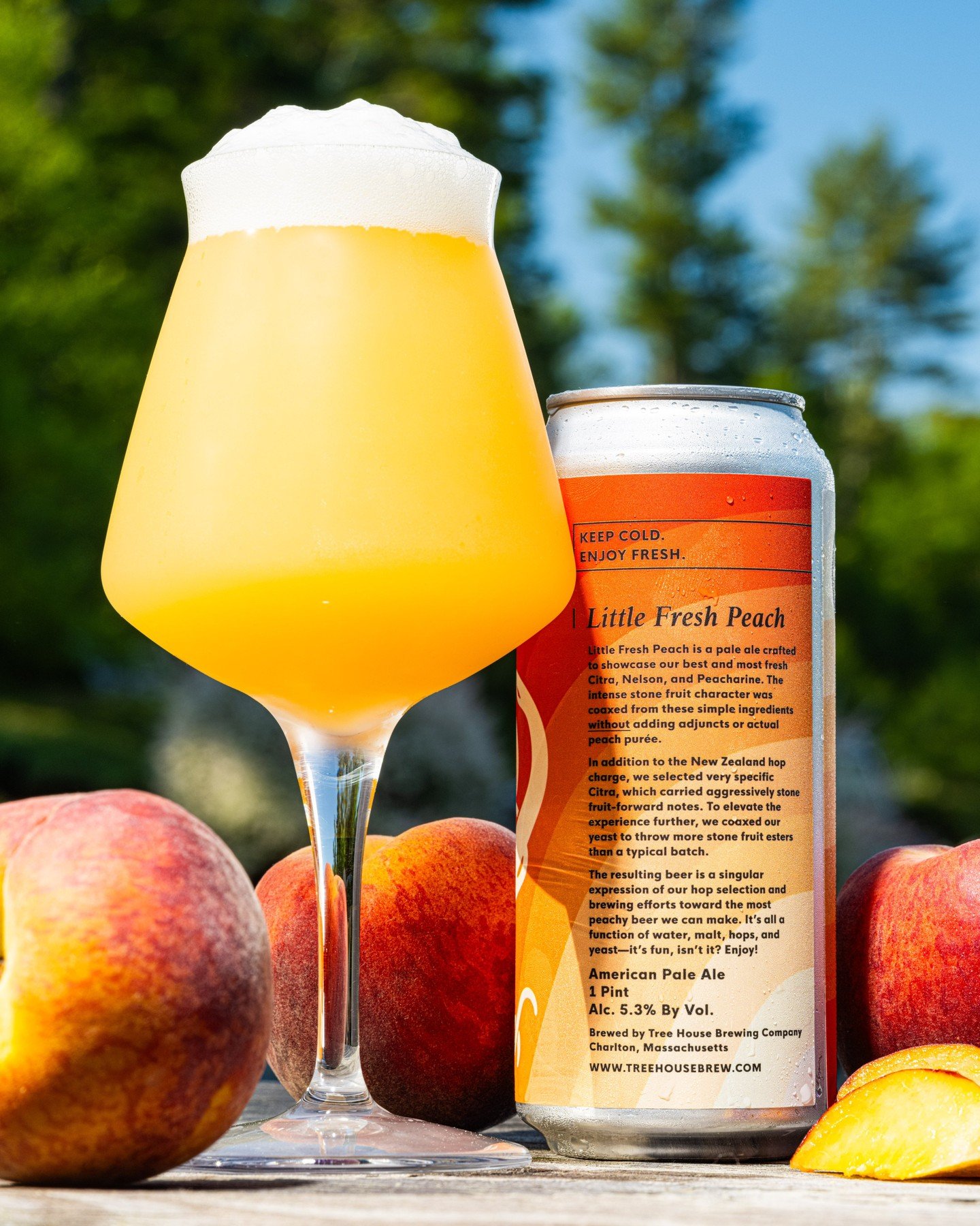 Little Fresh Peach showcases the magic of water, malt, hops, and yeast when artfully combined.

In addition to the New Zealand hop charge, we selected very specific Citra, which carried aggressively stone fruit-forward notes. To elevate the experienc
