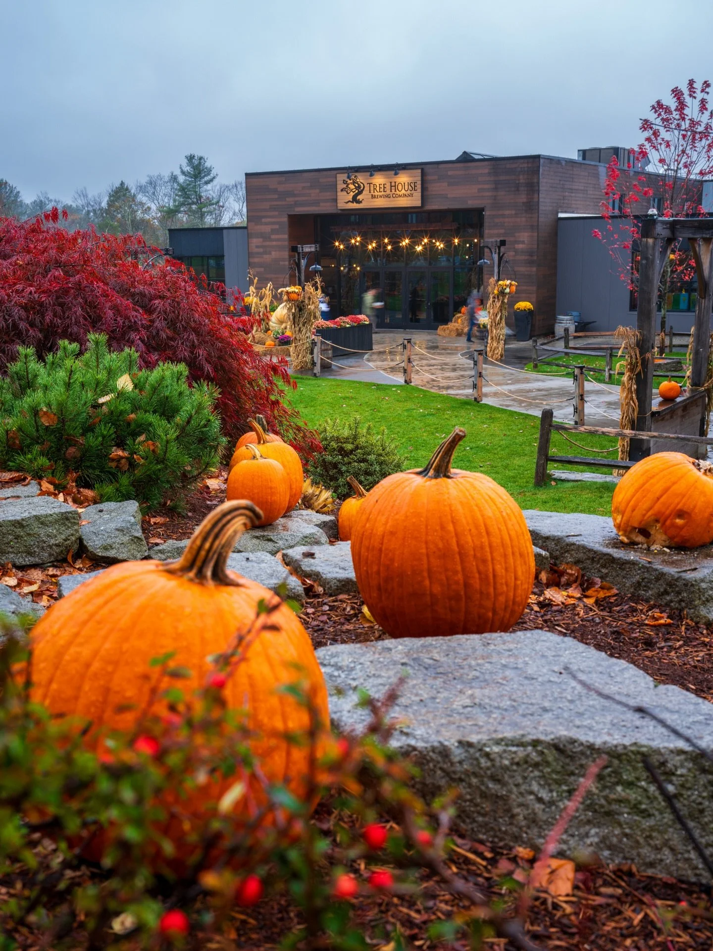 Don&rsquo;t be afraid - it&rsquo;s a cozy night to drink a beer at Tree House.

We look forward to seeing you!