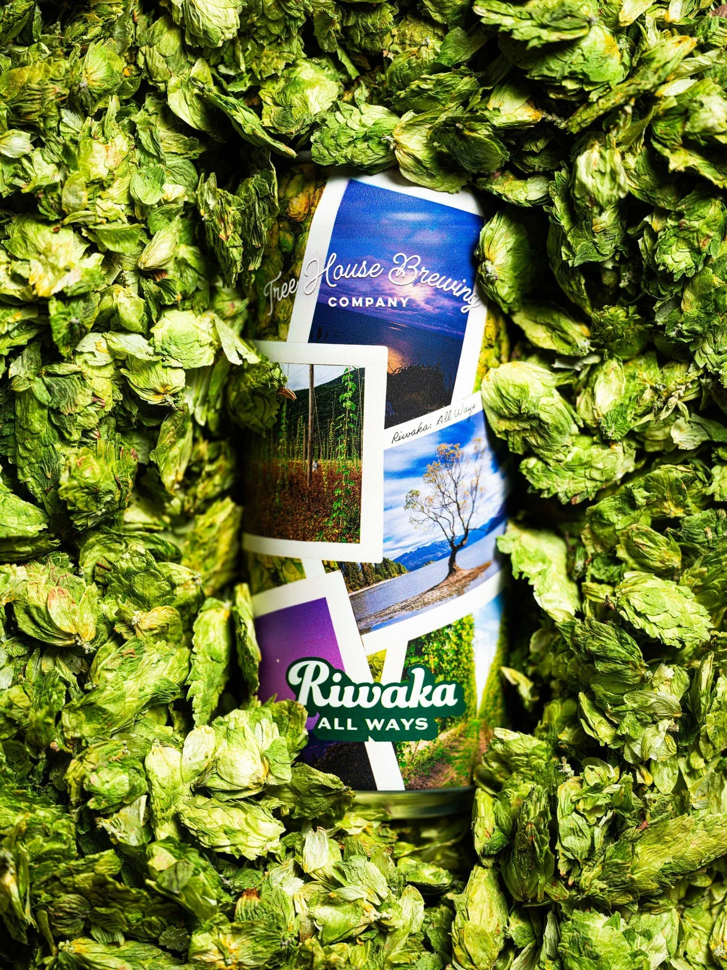 Riwaka in all its glory.

Riwaka All Way carries aromas of passionfruit juice, lime candy, and grapefruit peel swirl through its creamy body. Beneath these dank, tropical notes, subtle hints of lemon zest and soft spice emerge, revealing Riwaka&rsquo