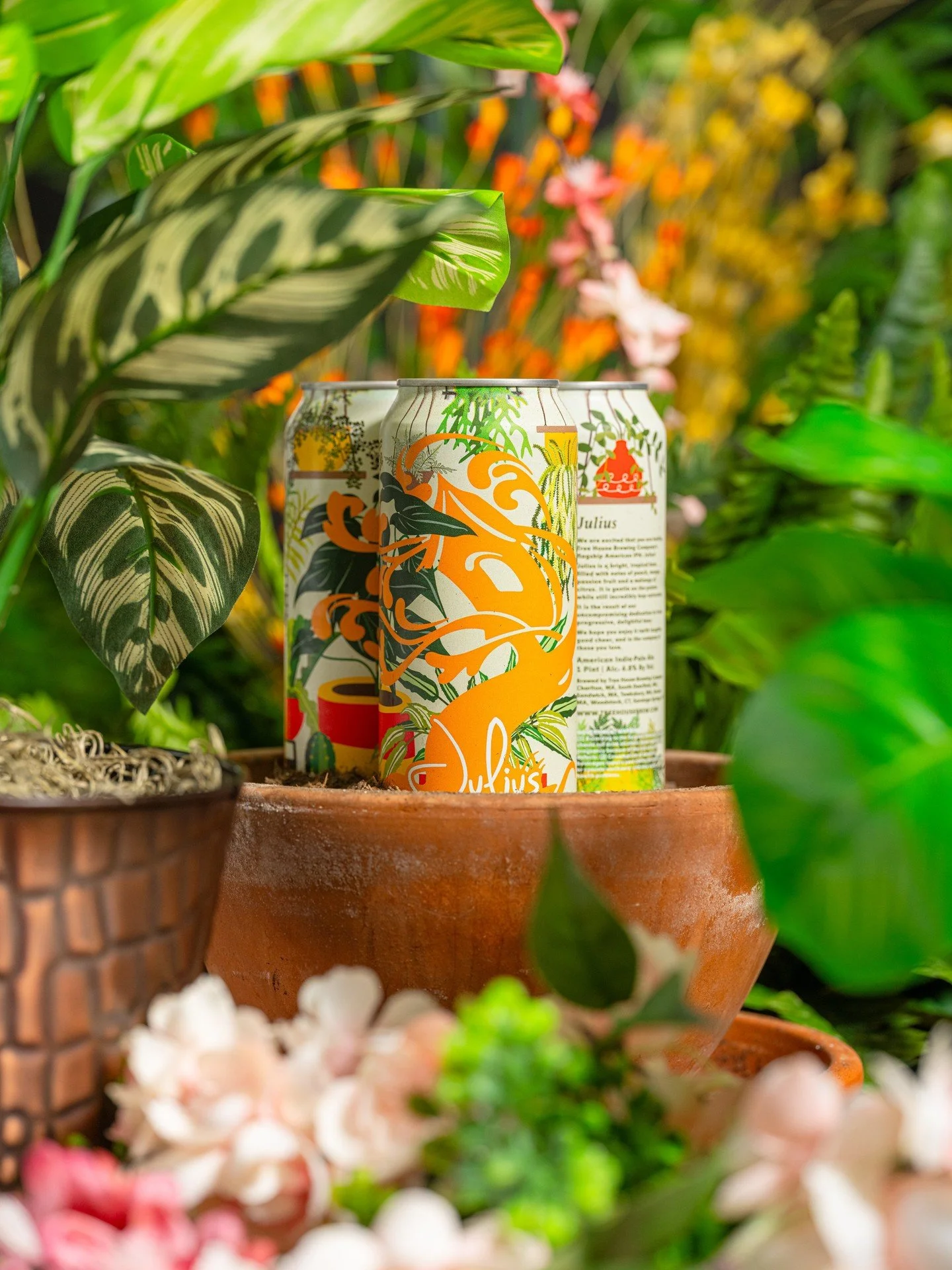 This is your reminder that Plant