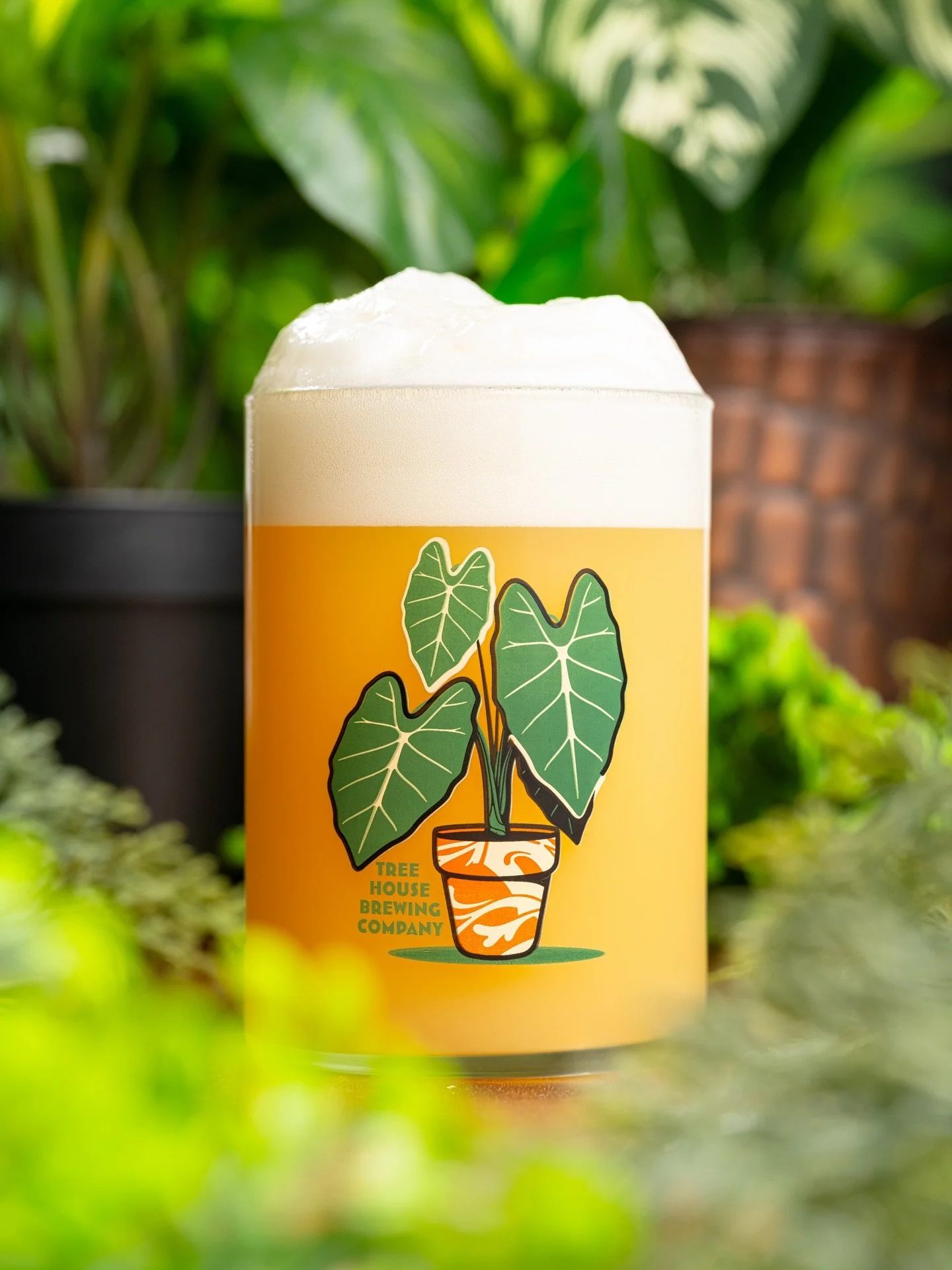 We take our Plants &amp; Pints seriously at Tree House.

🌱 

These little gems drop today in Charlton!