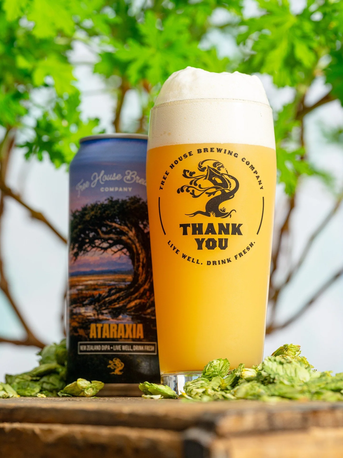 Ataraxia is a new IPA that showcases the otherworldly tropical aromas of New Zealand terroir, thanks to our friends at Freestyle Hops. Nectaron and Nelson Sauvin produce intense aromas of lychee juice and apricot that give way to sweet notes of peach