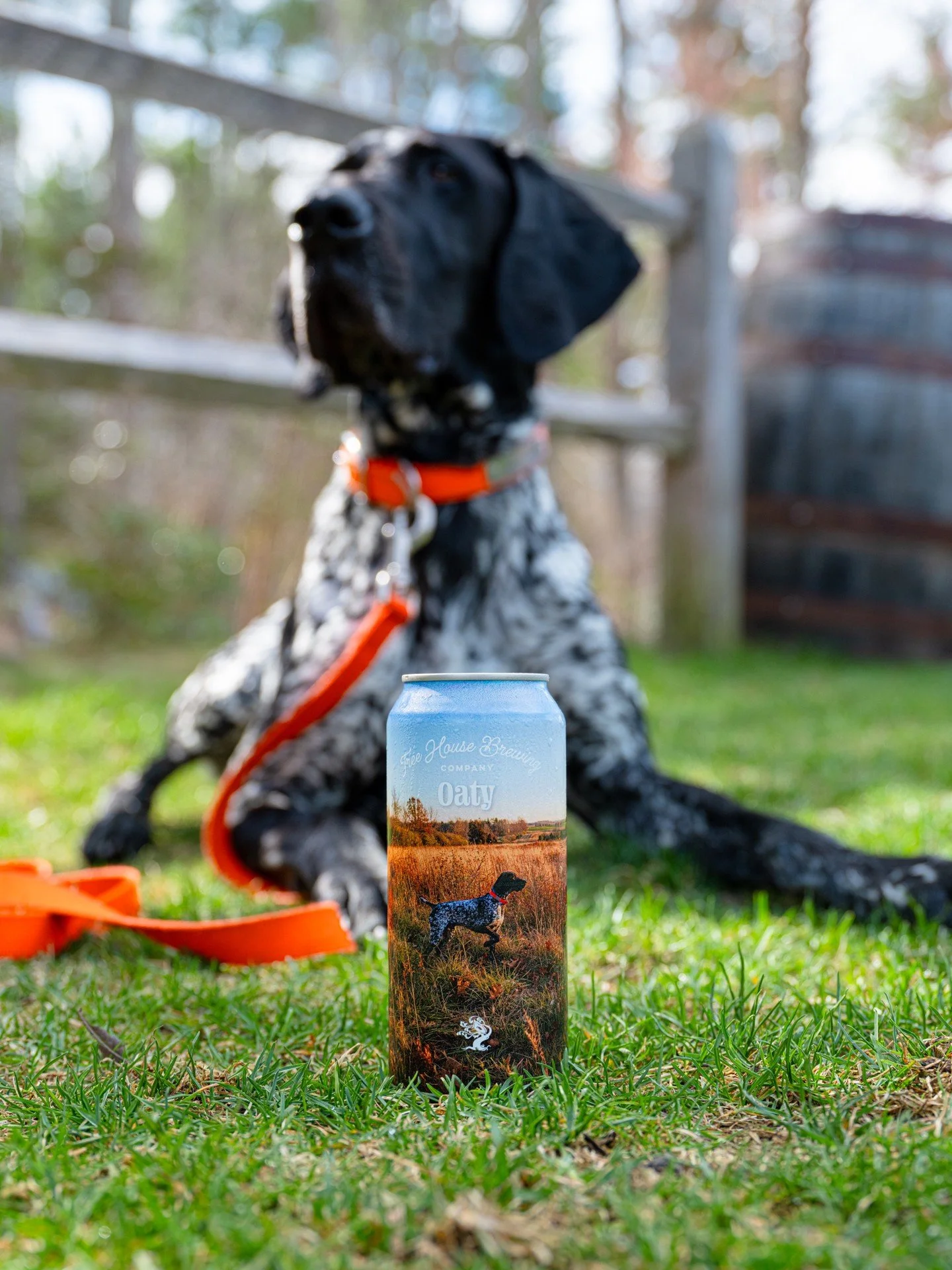 Oat Pale Ales 🤍

Oaty is an Oat Pale Ale named after our Cellar Manager Kyle&rsquo;s dog, Otis. It pours a golden color, with a swell of sticky foam rising above the glass. Hand selected Citra hops burst with aromas of grapefruit hard candies and ma