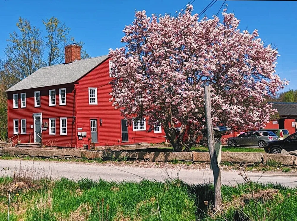 Store 1 — Hilltop Cafe