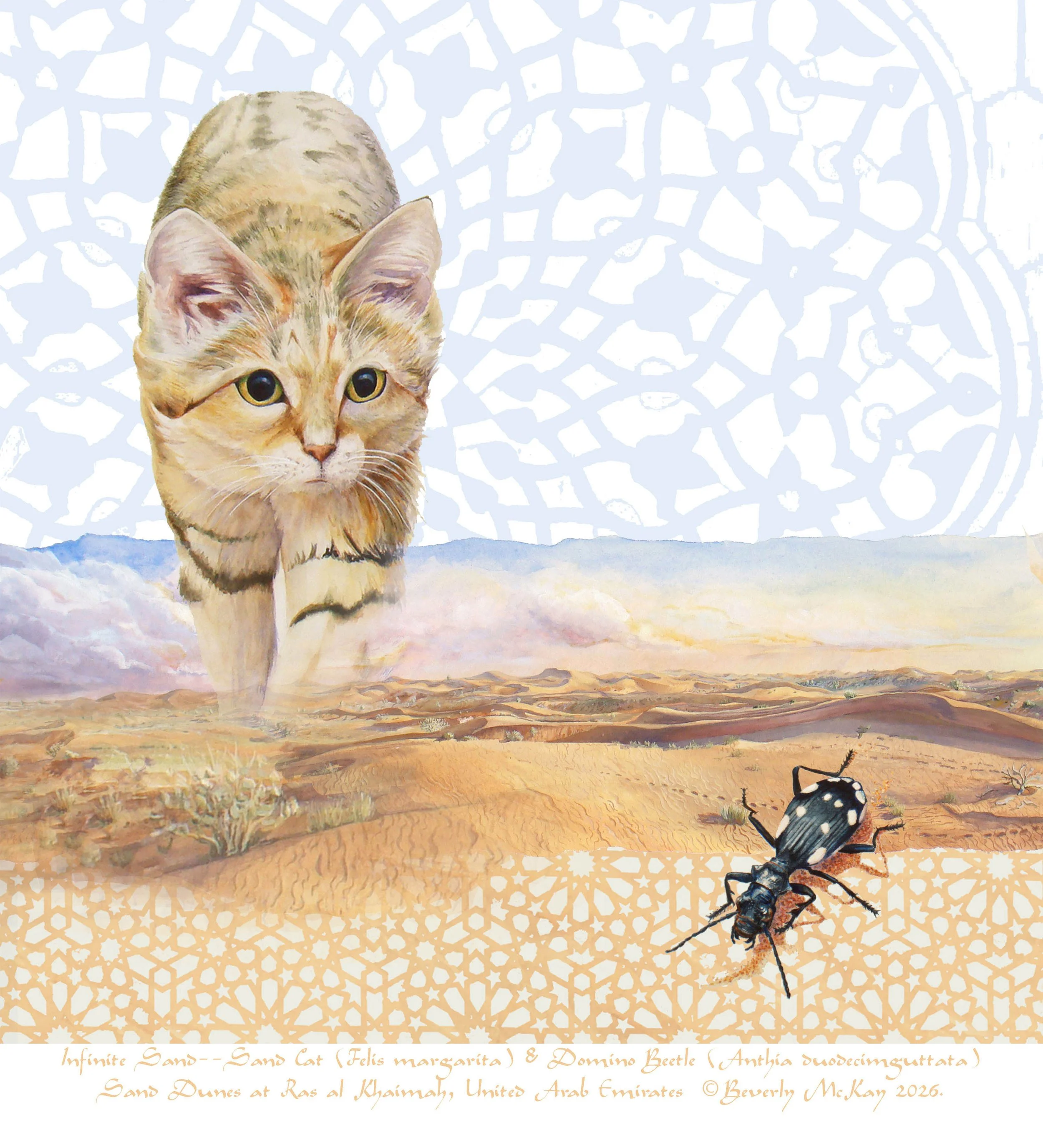 A large golden cat stalks on the left hand side of the image, moving over a mountainous landscape towards a white spotted black beetle.