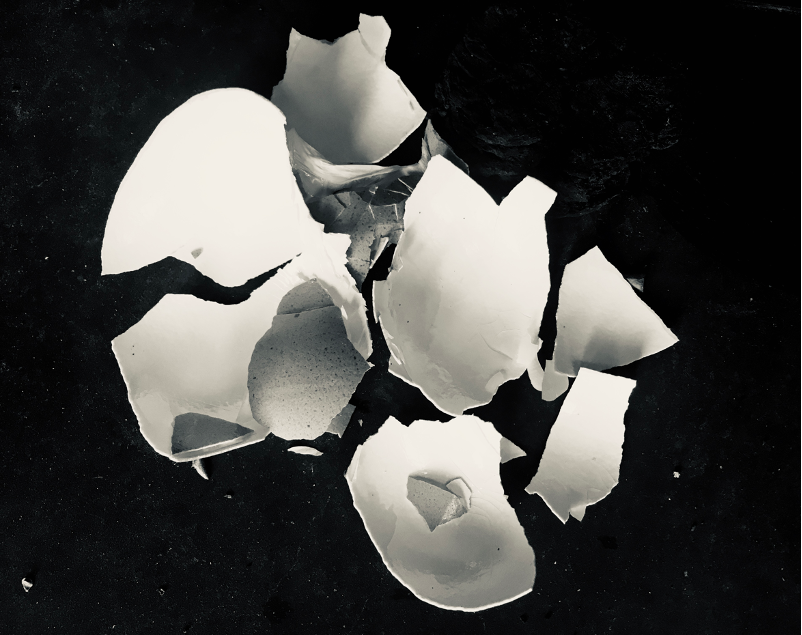 White eggshell broken into shards on a black background.