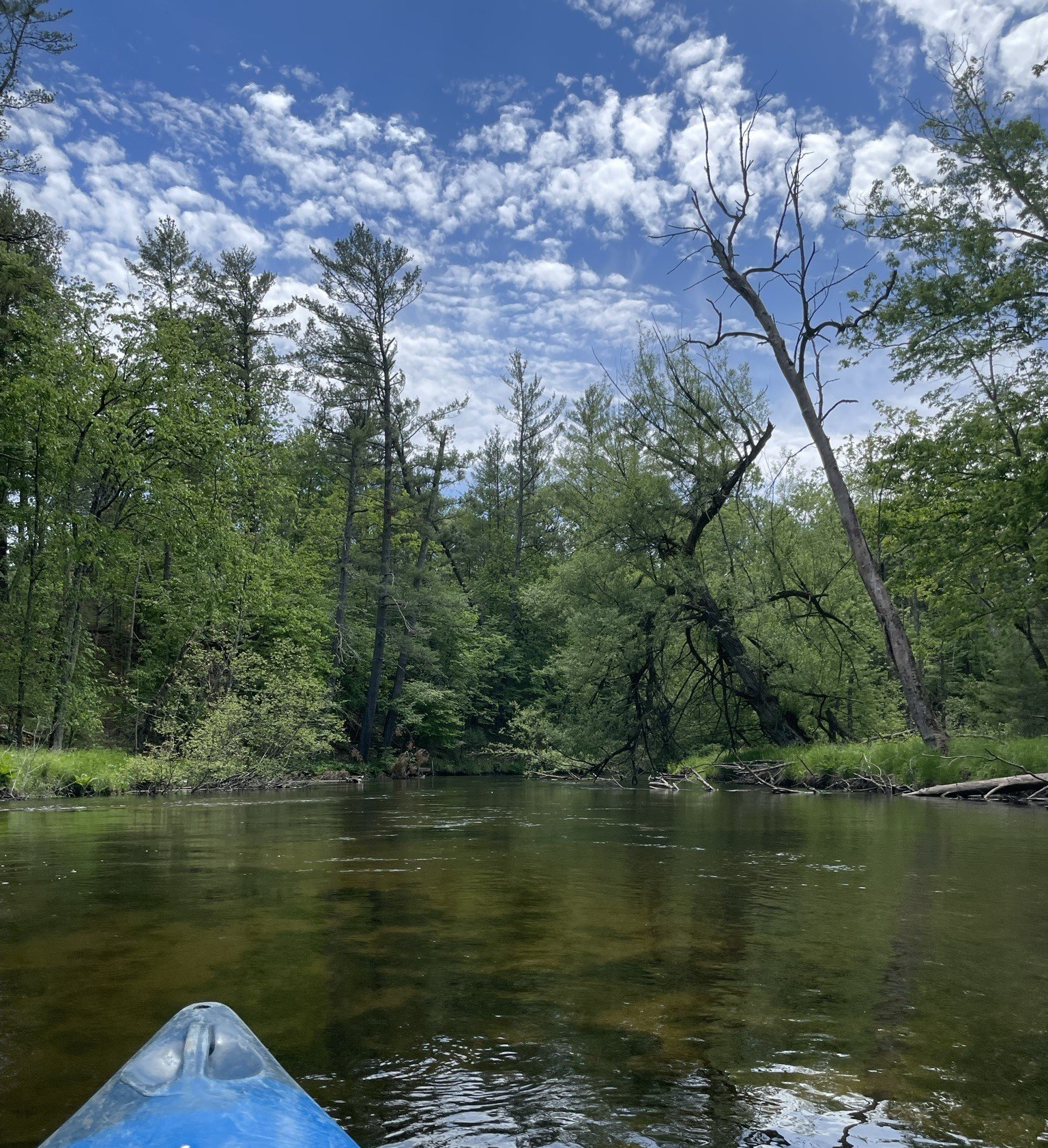 Kayak on a calm river surrounded by lush green trees and blue sky with scattered clouds, indicating a peaceful outdoor setting.