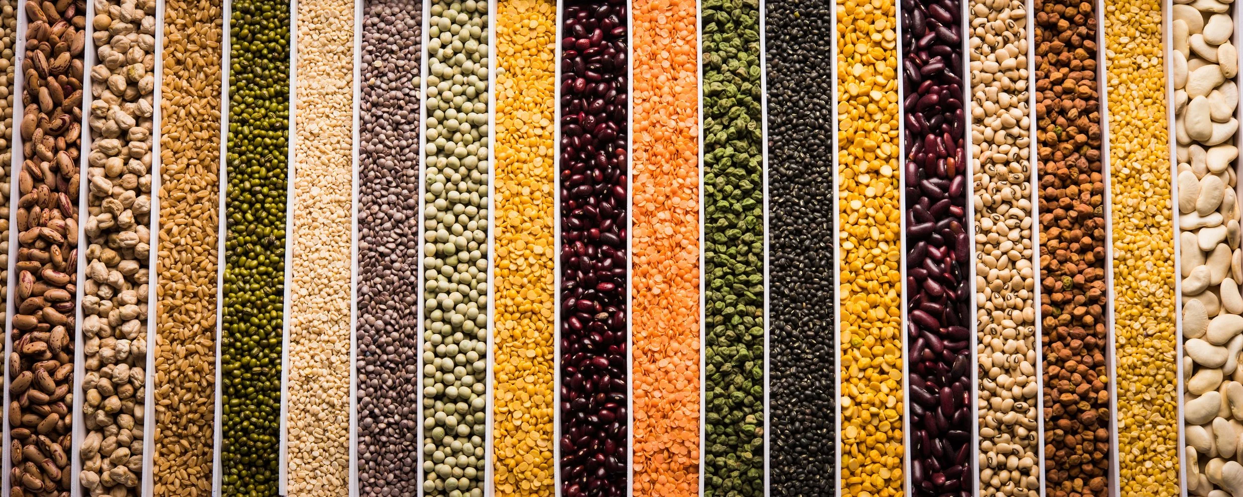 Urban Spices.jpg