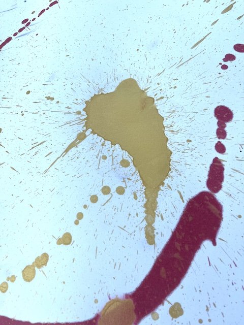 3 Aerial Enso Detail.jpeg