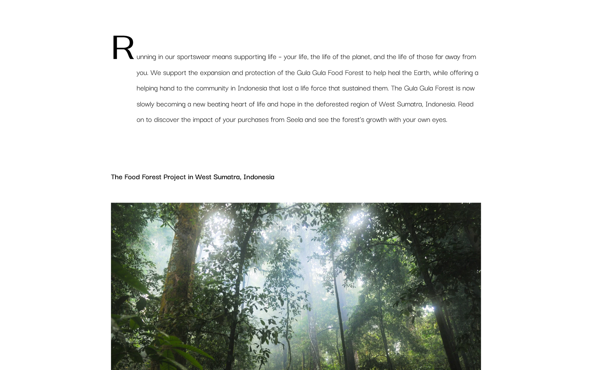 seelastudio.com_pages_restore(Nest Hub Max).png