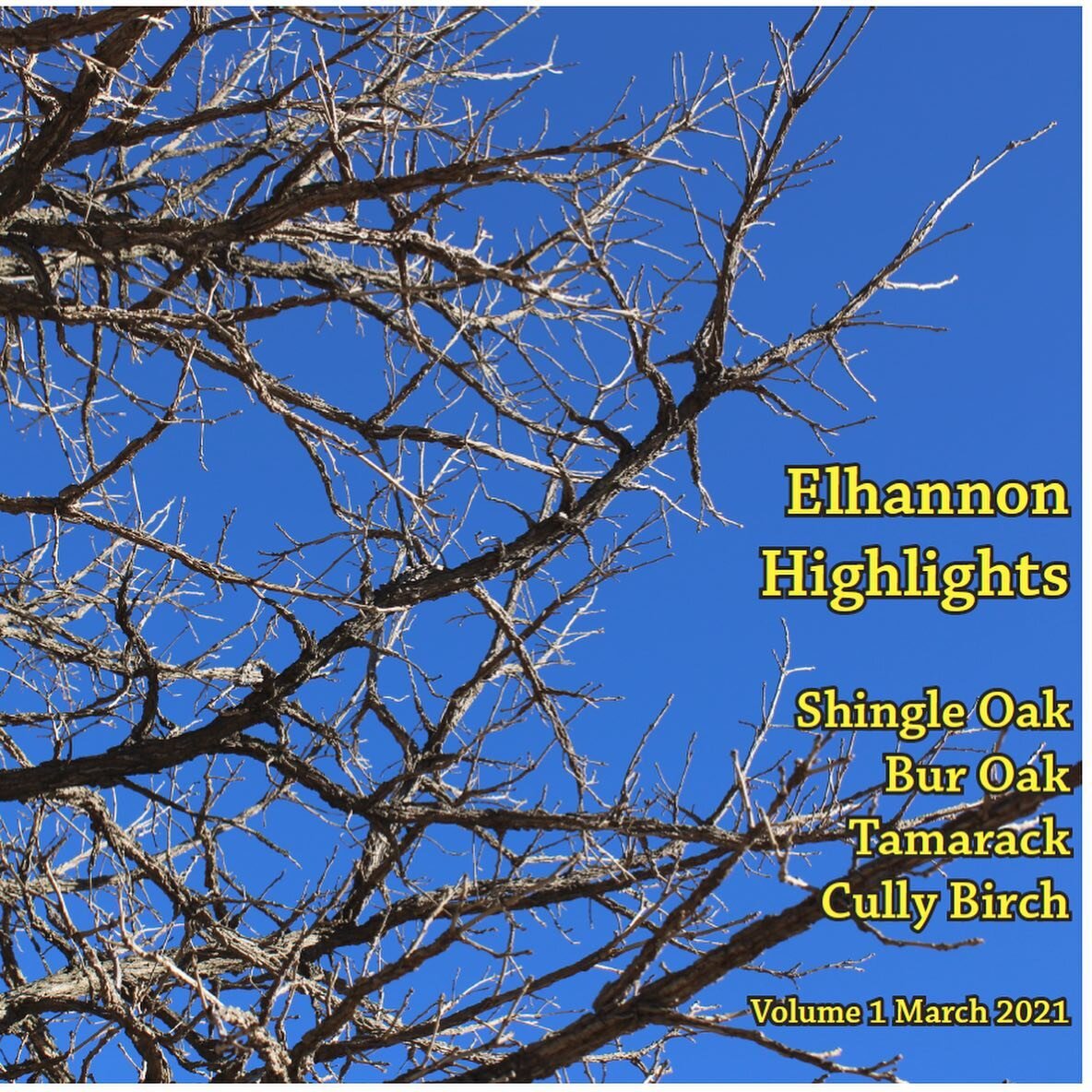 Proud to announce our first Elhannon Highlights! It&rsquo;s our monthly publication that takes a closer look at some of our favorite trees. Head over to our website to download. #shingleoak #buroak #tamarack #heritagebirch