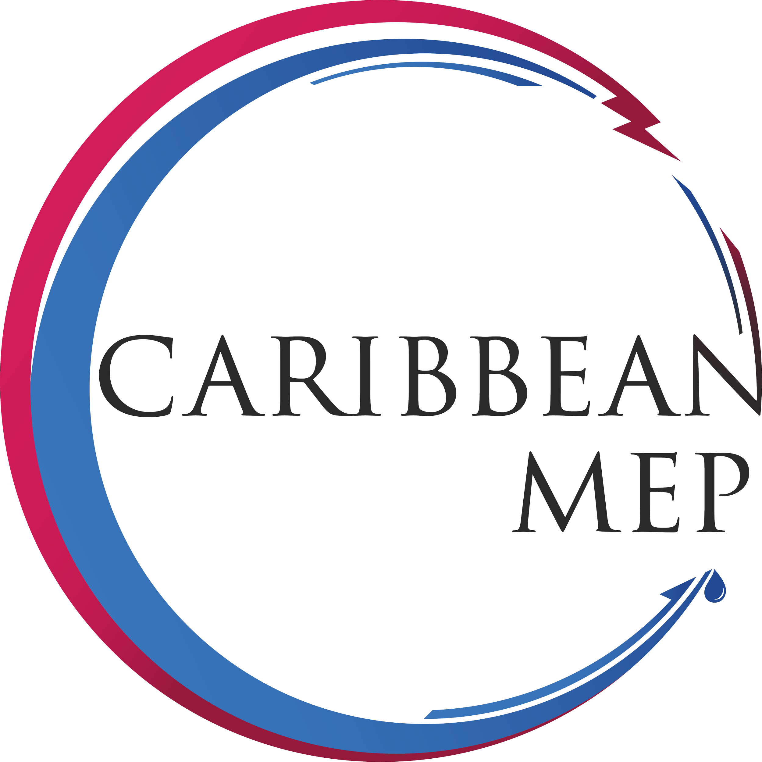 Final Colour Logo - MEP.png