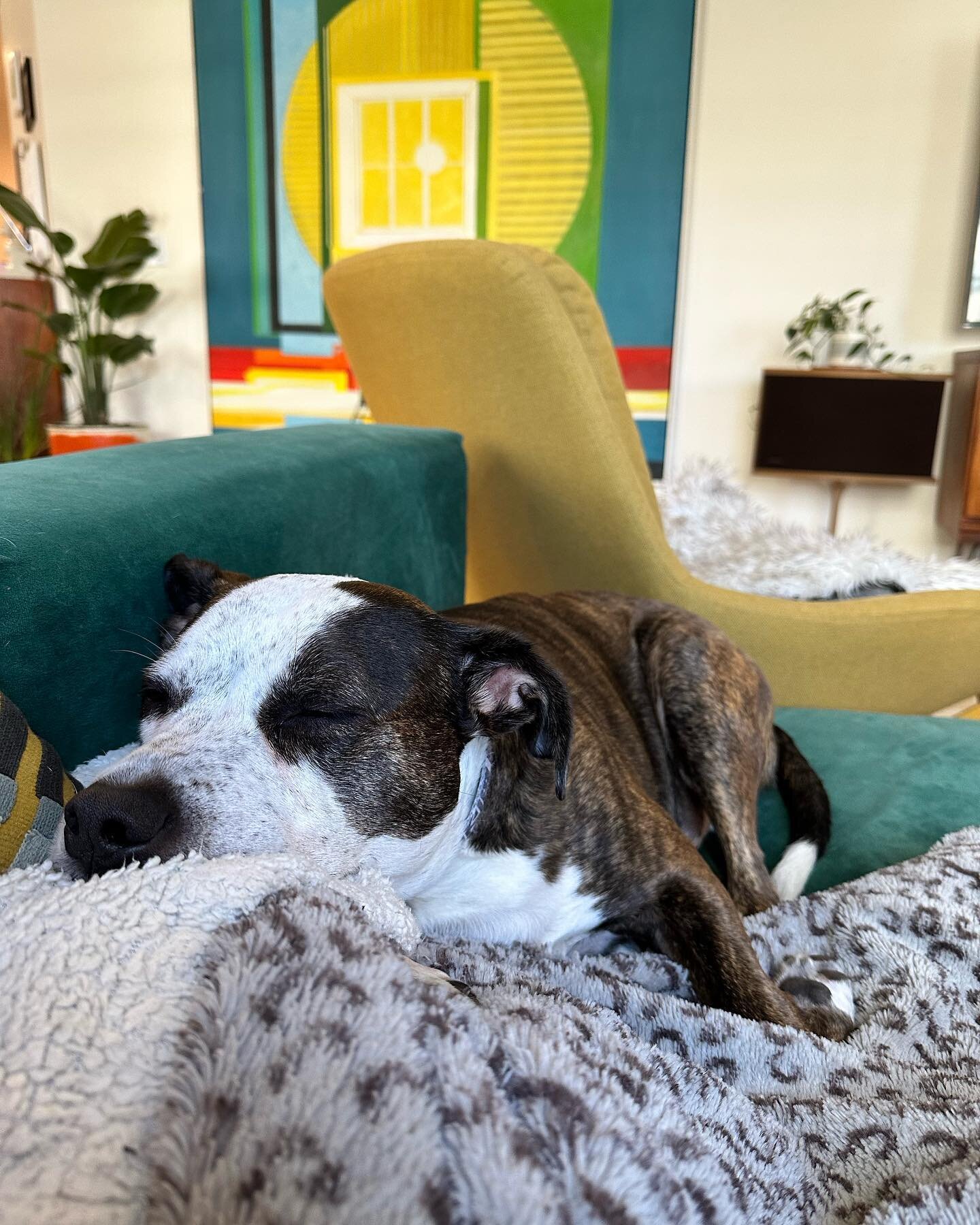 frank forced me to take a break. fine!